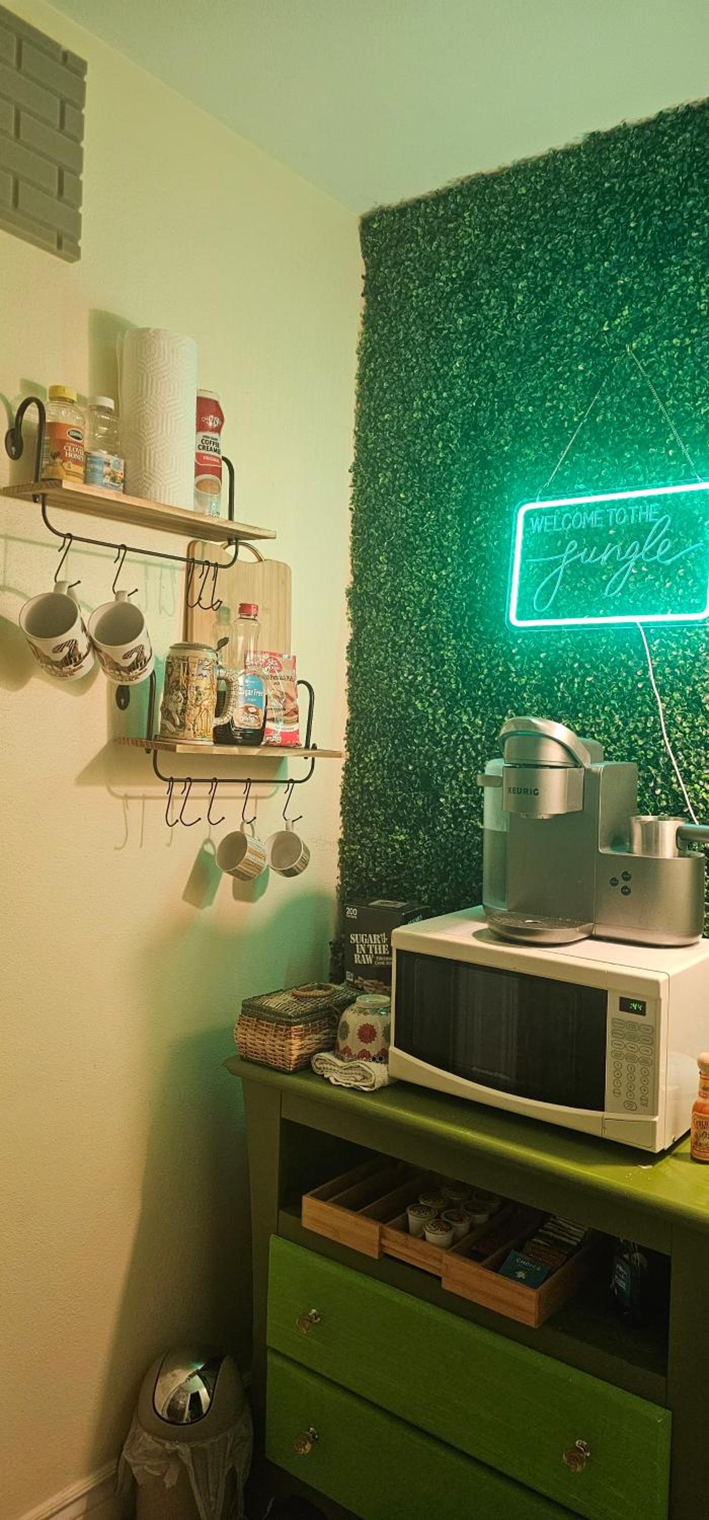 Tampa Bay Area Vacations - Jungle Oasis By Busch Gardens USF and Amphitheater - Property Image 4