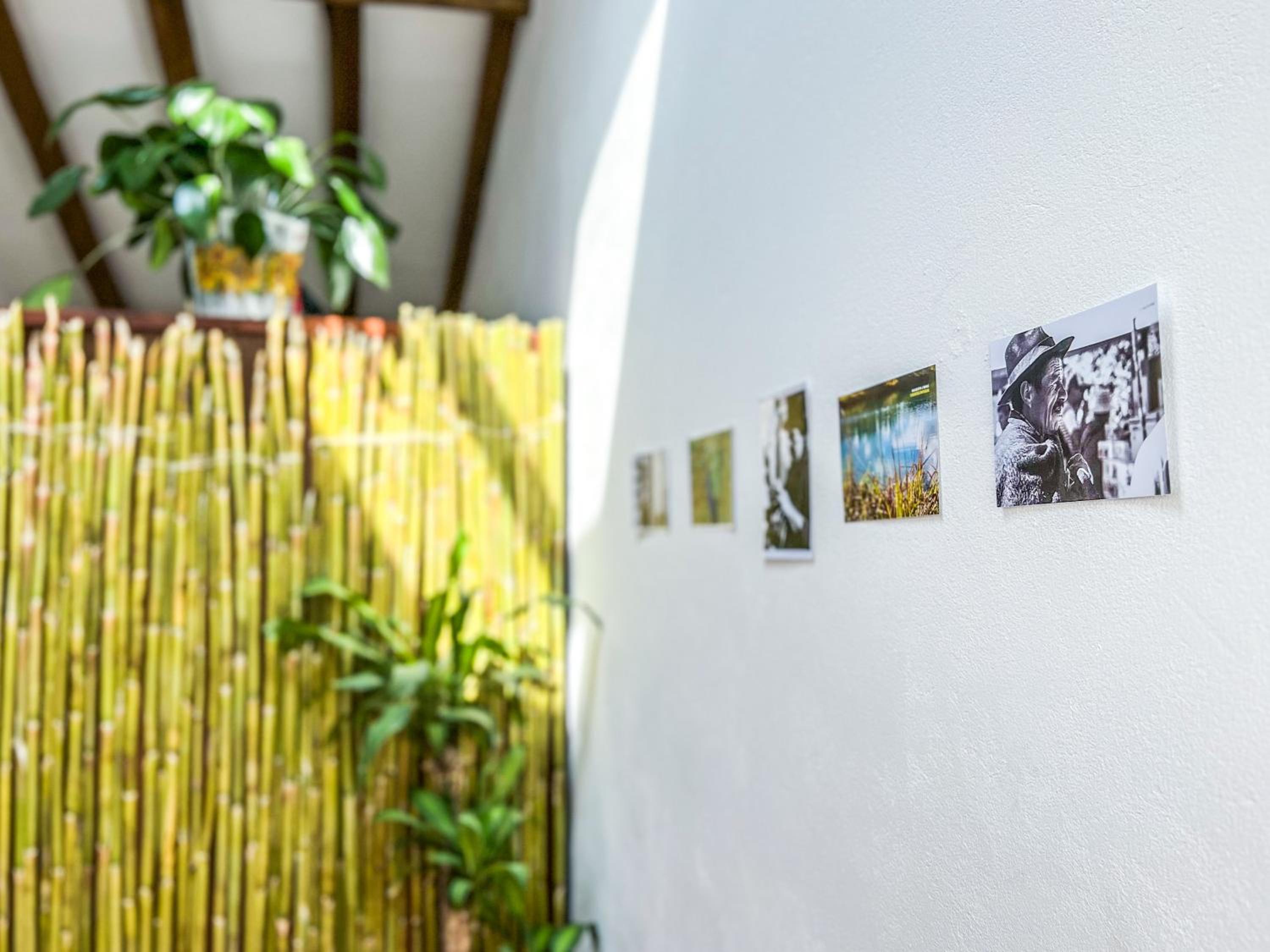 Serena Morena Hostel
