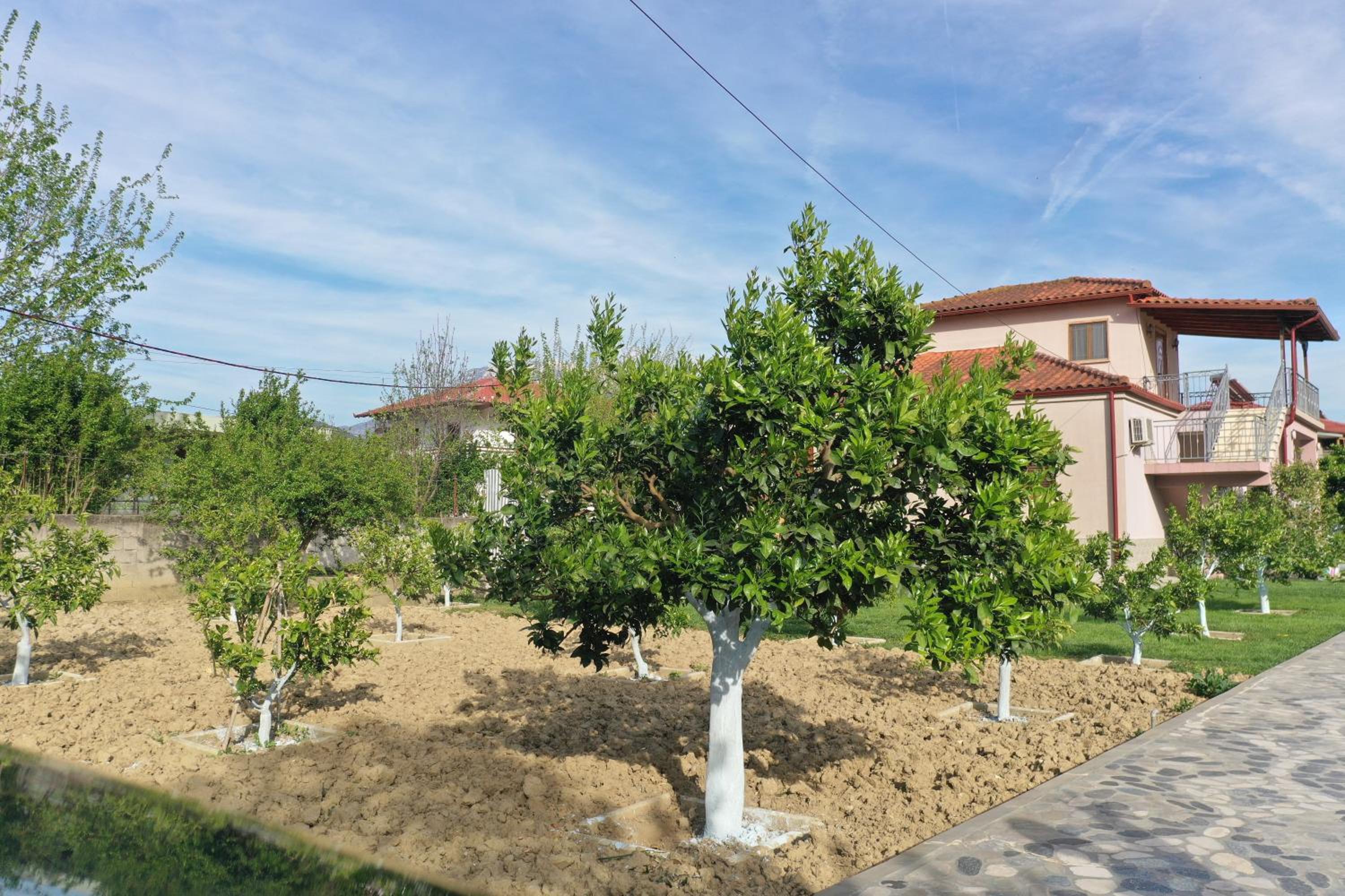 Villa Nano