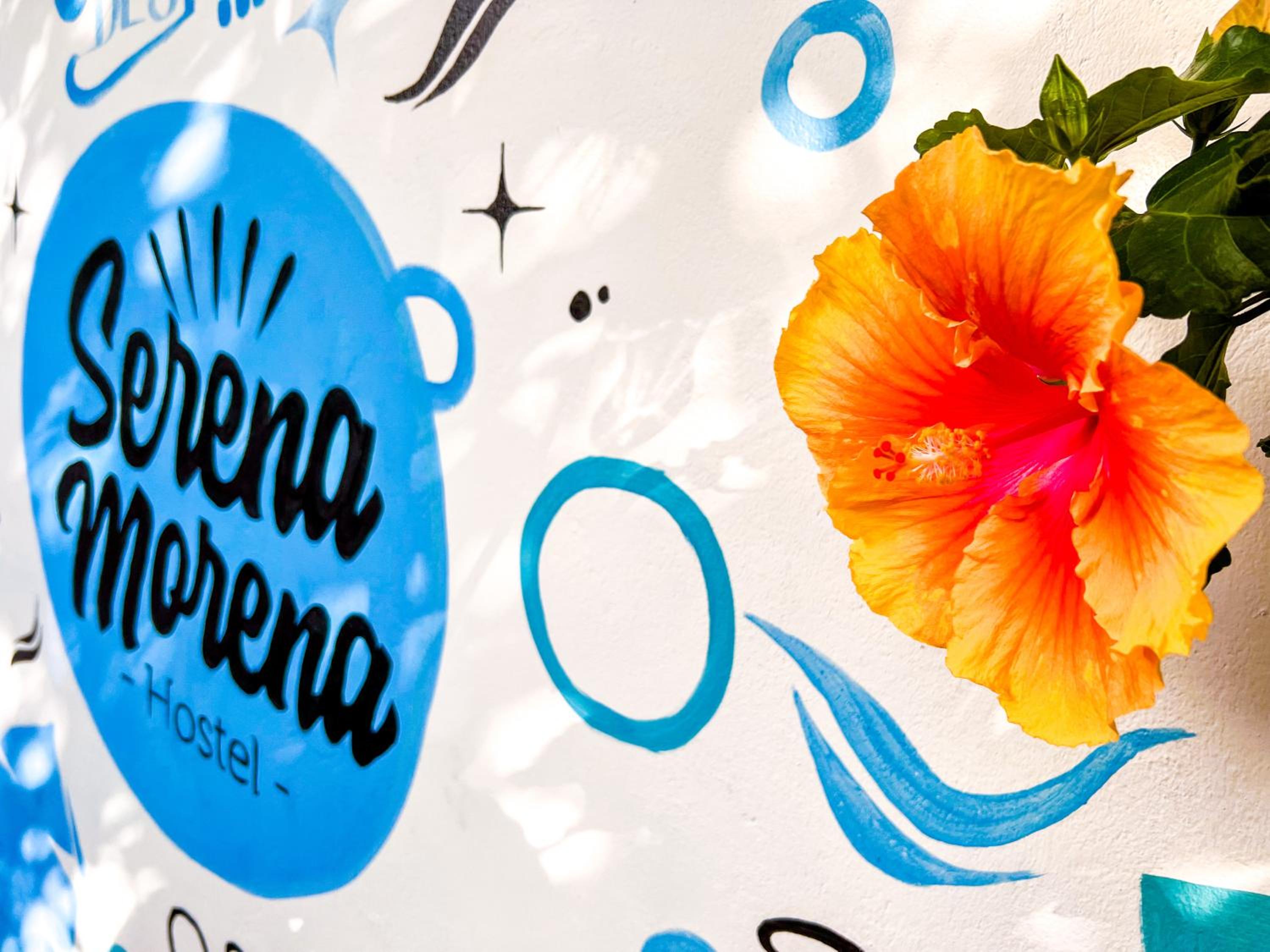 Serena Morena Hostel