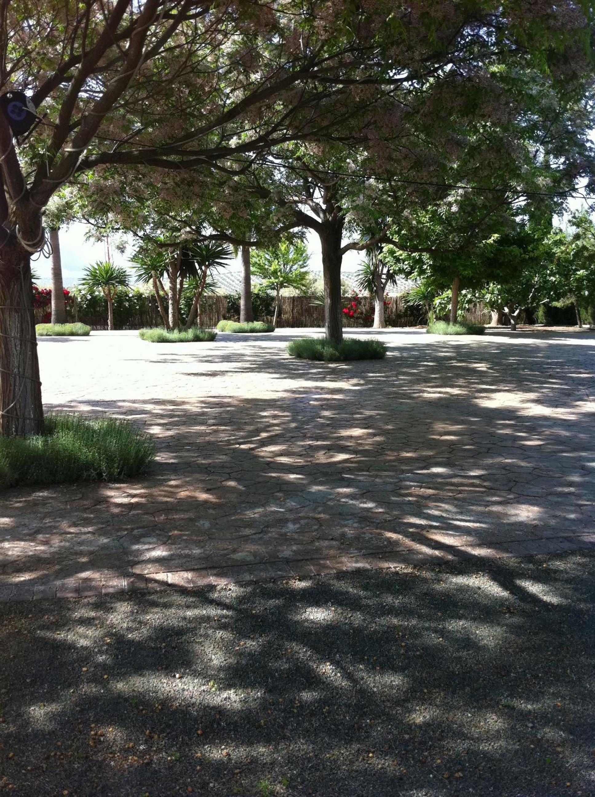 Cortijo Carrillo