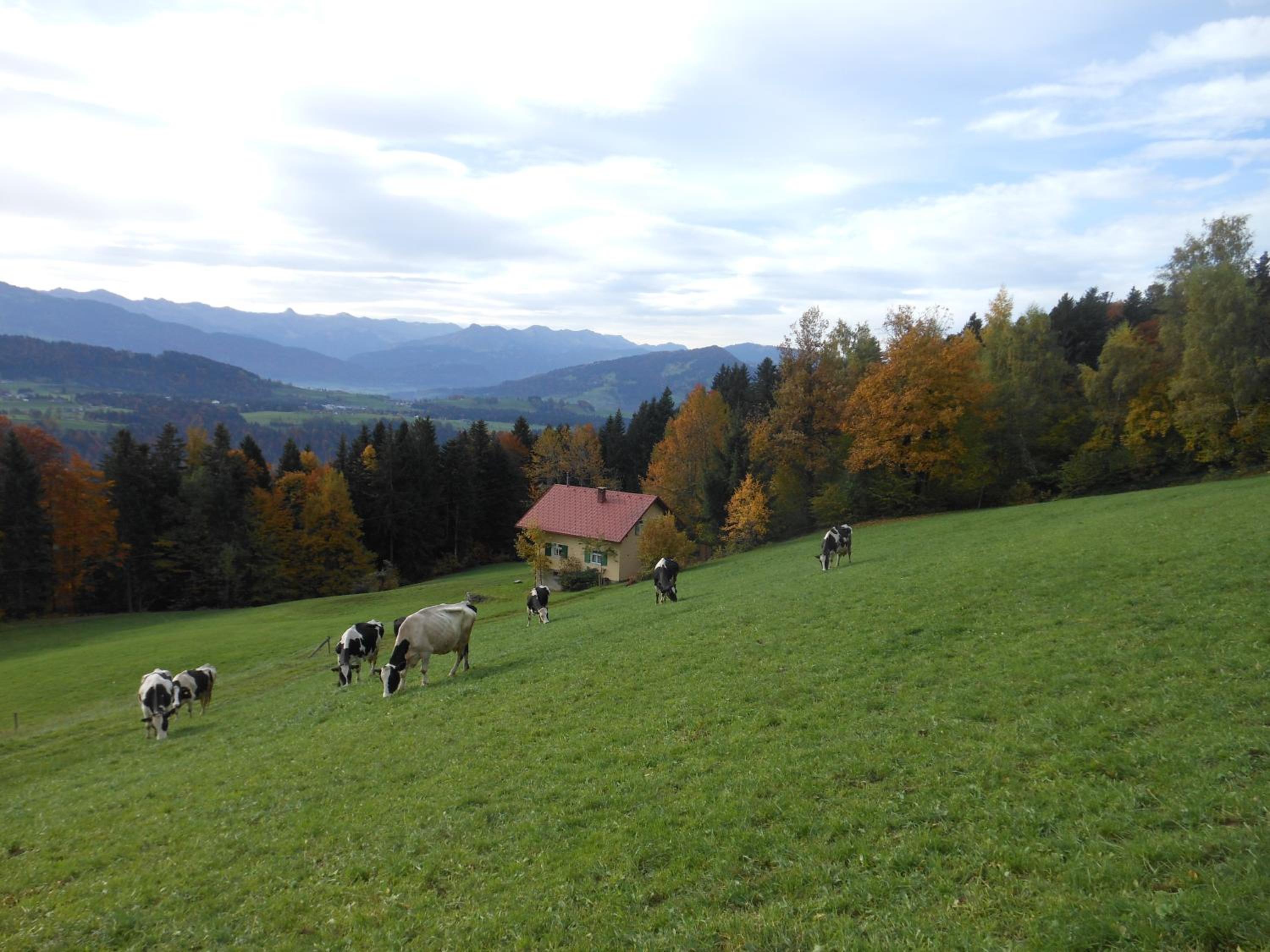Ferienbauernhof Roth