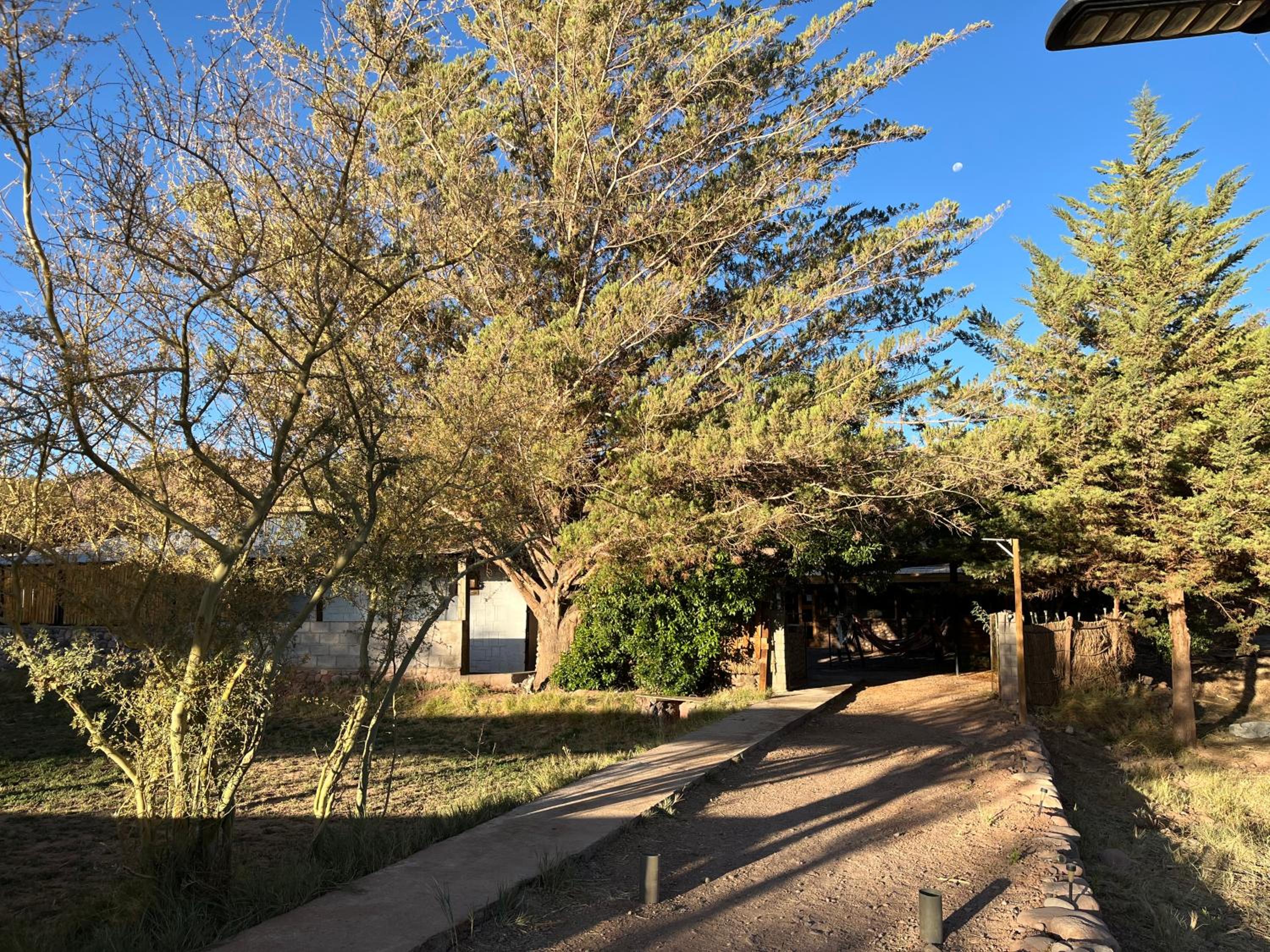 Photo 21