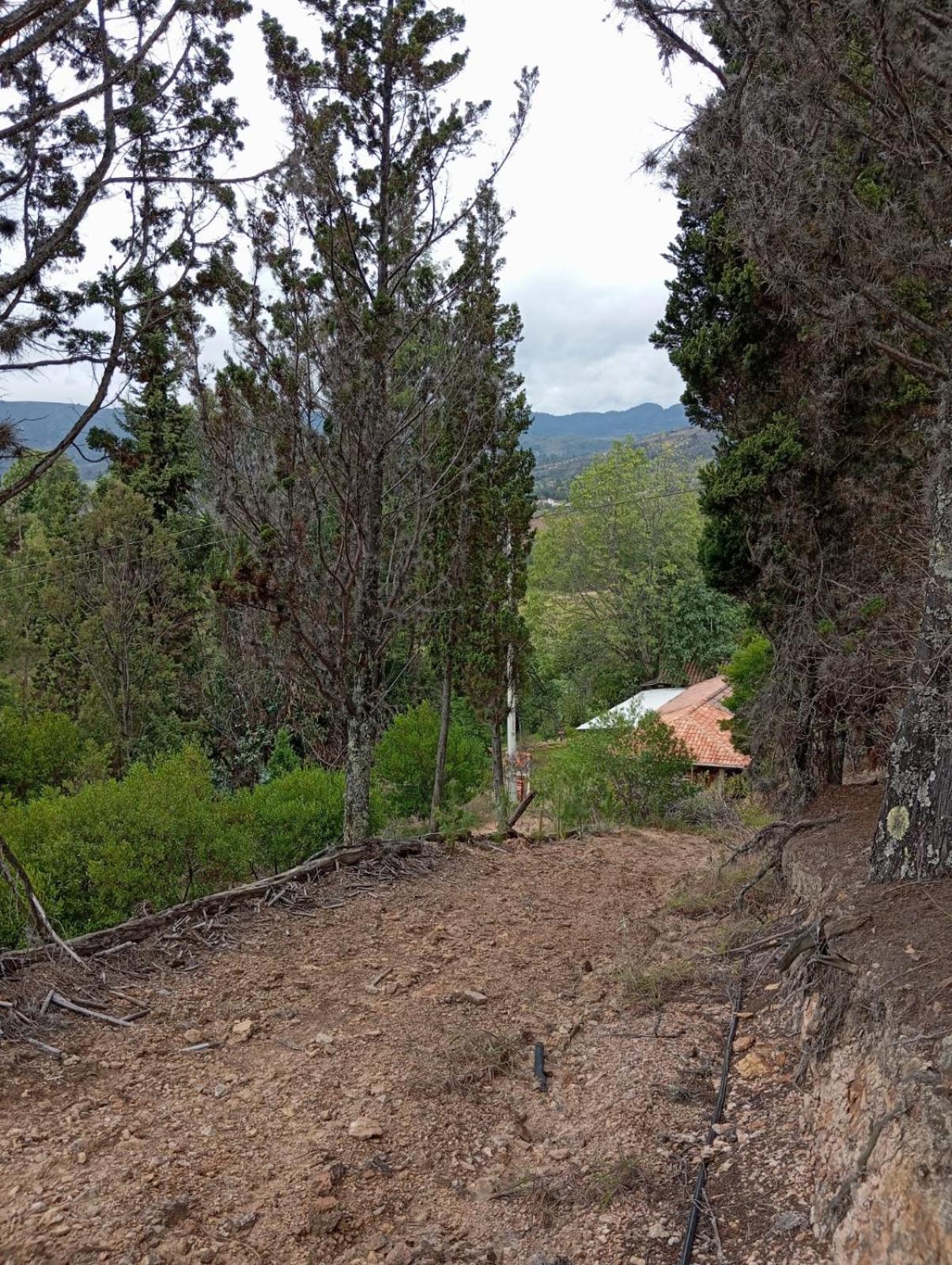 Cabaña Cueva del Zorro