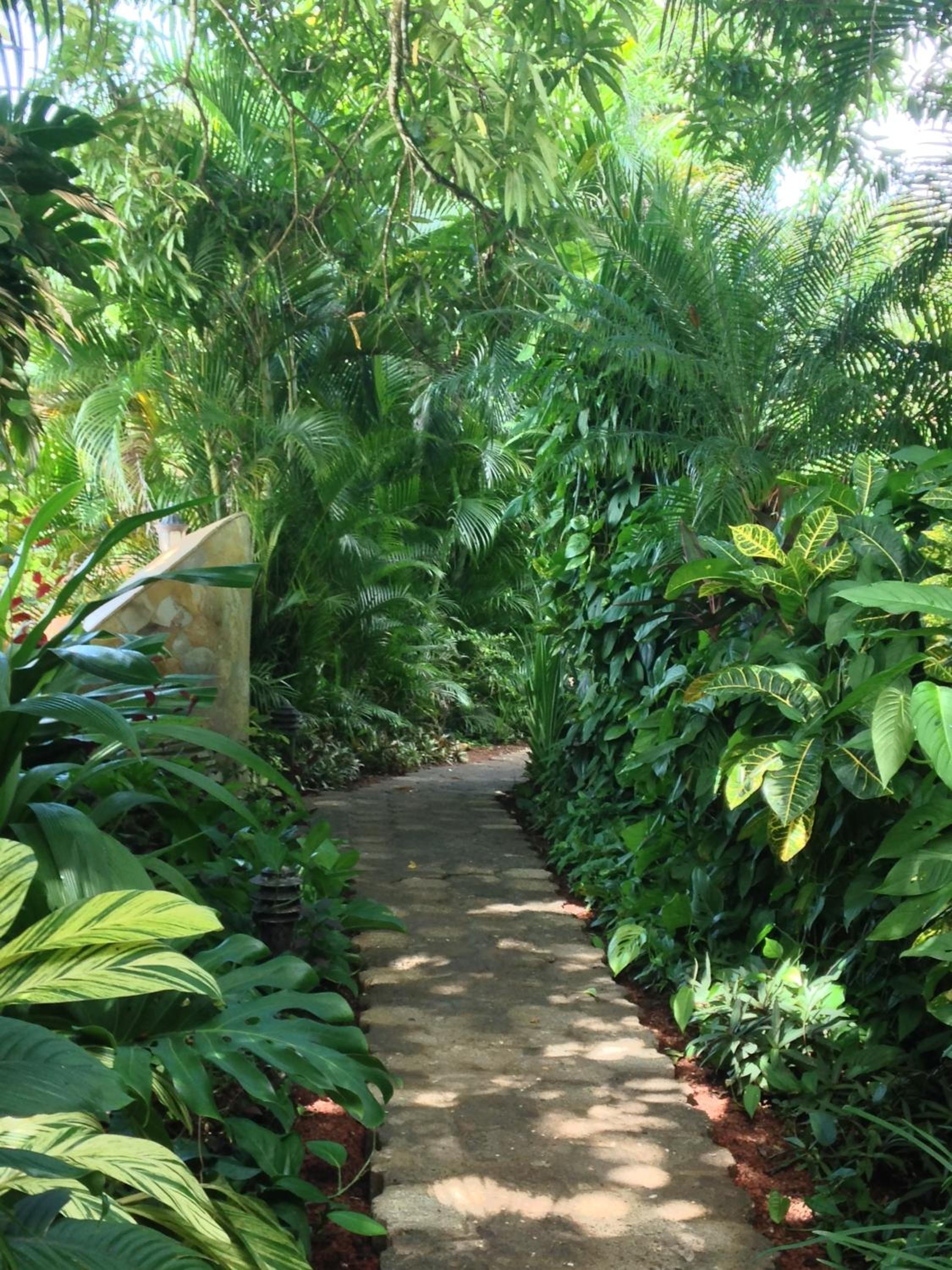 Villa Mango B&B