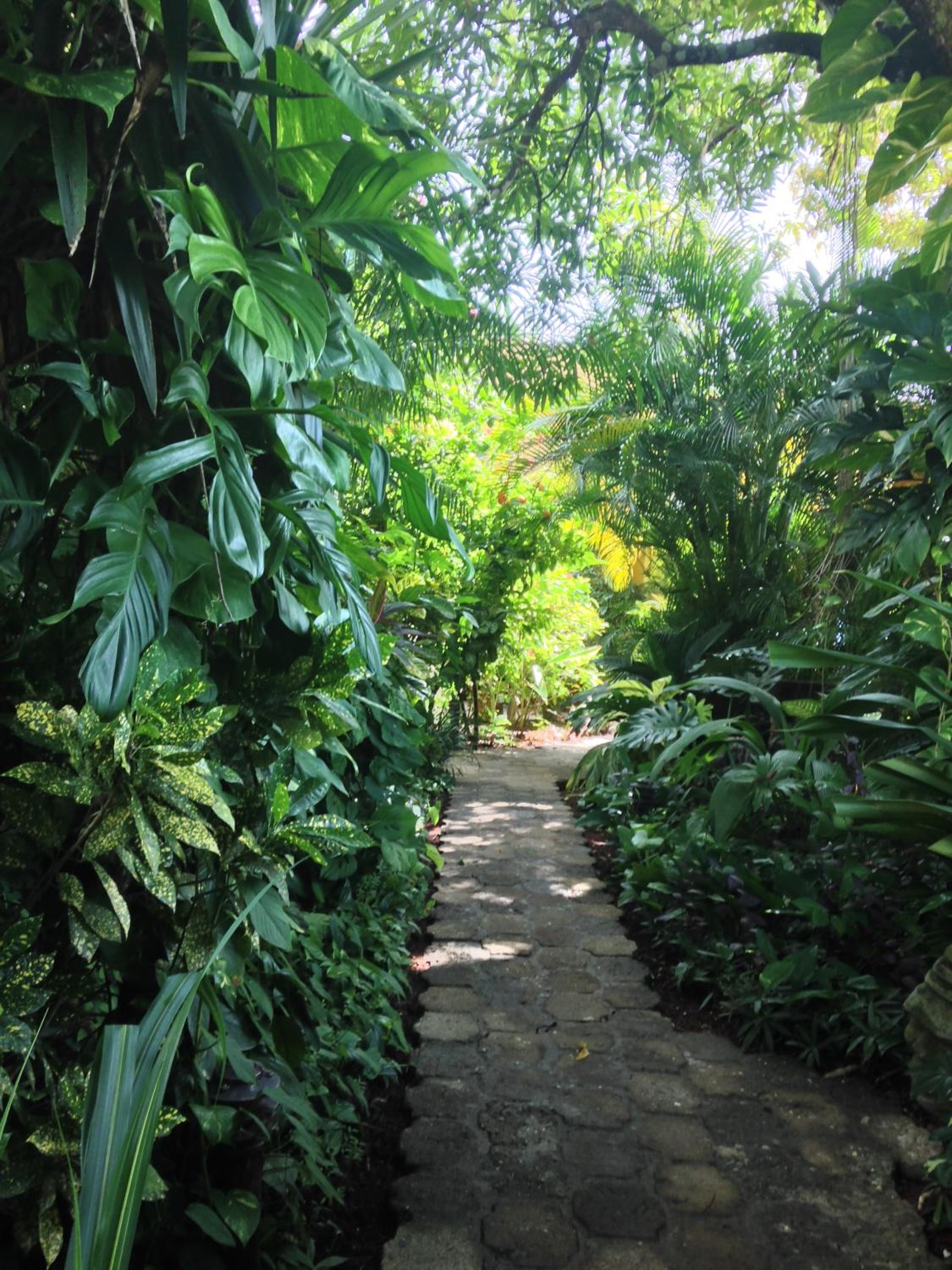 Villa Mango B&B