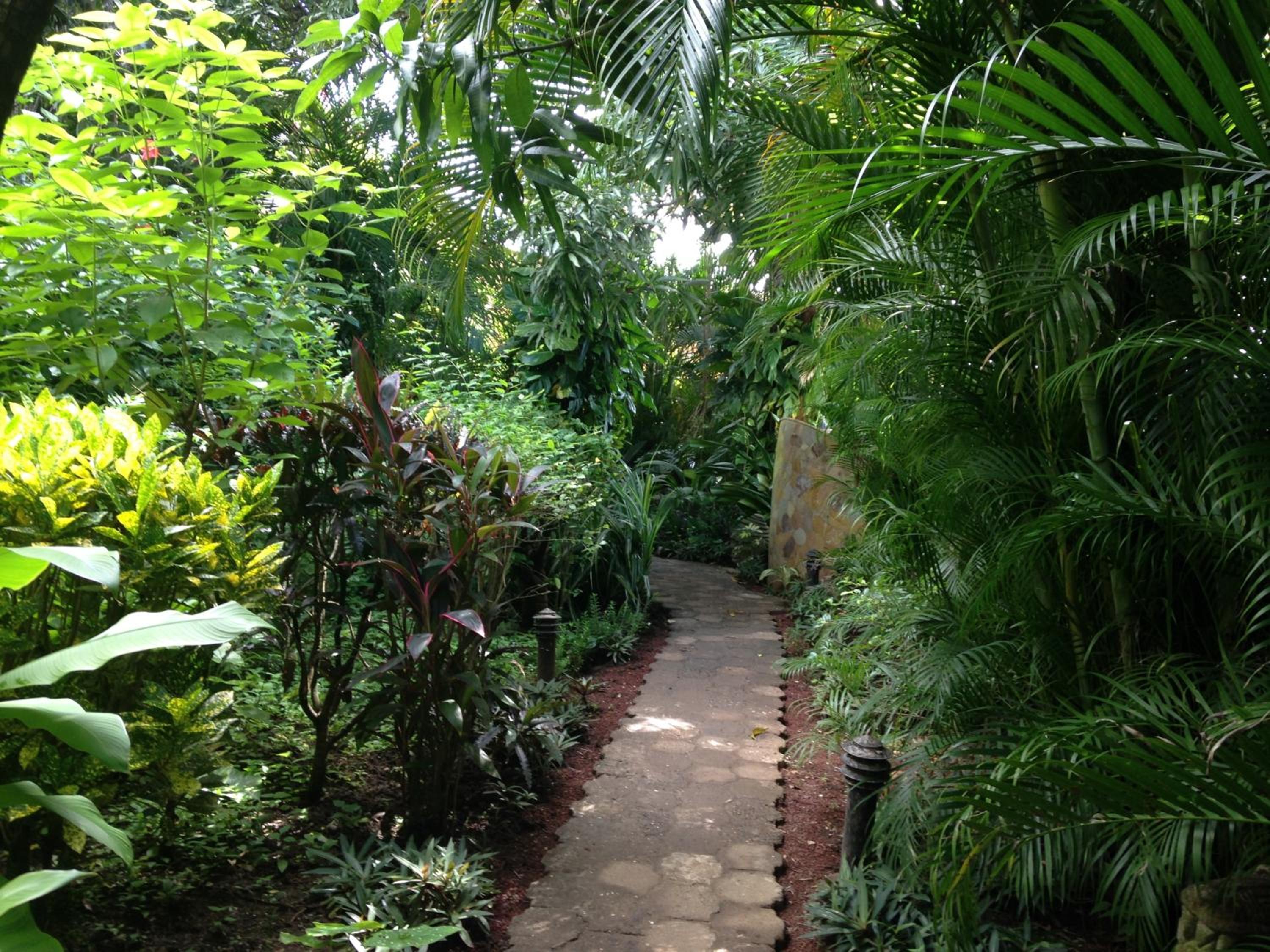 Villa Mango B&B