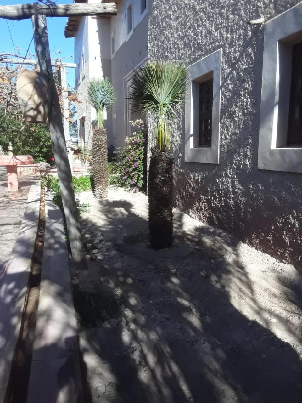 Photo 39