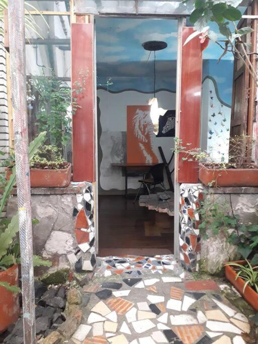 Casa Viva Apartaestudio Terraza