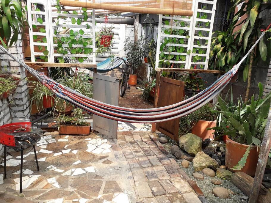 Casa Viva Apartaestudio Terraza