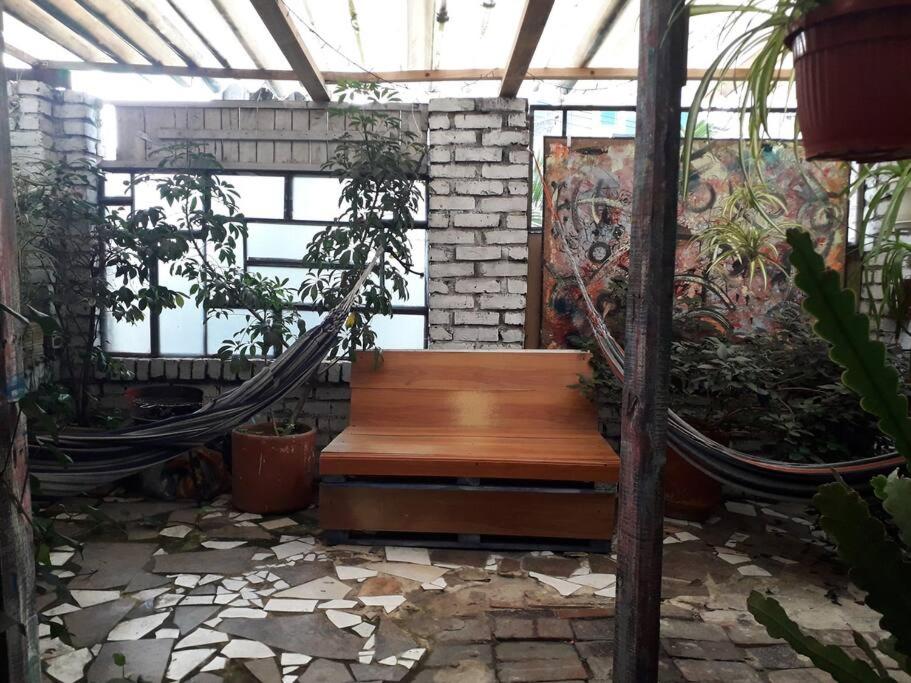 Casa Viva Apartaestudio Terraza