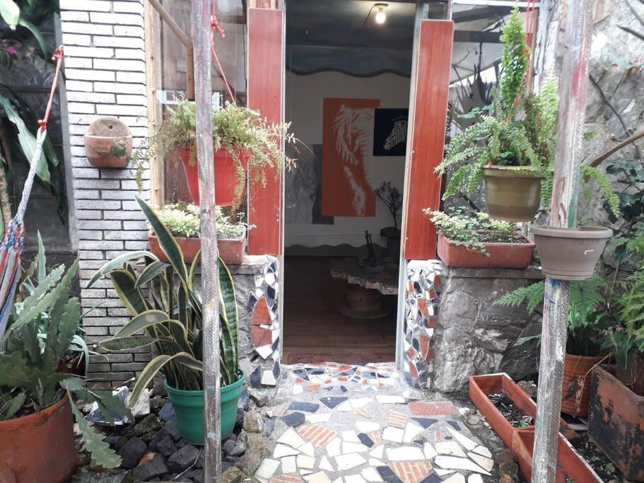 Casa Viva Apartaestudio Terraza