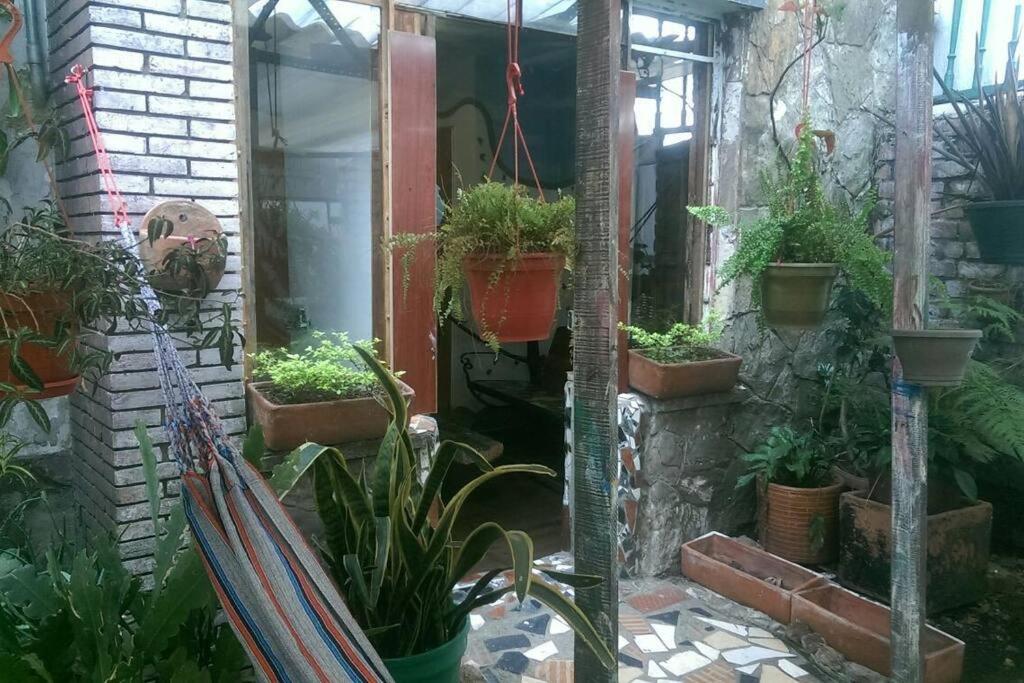 Casa Viva Apartaestudio Terraza