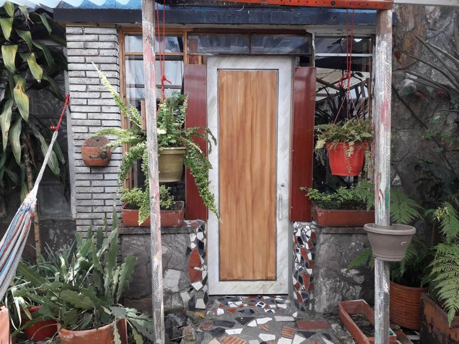 Casa Viva Apartaestudio Terraza
