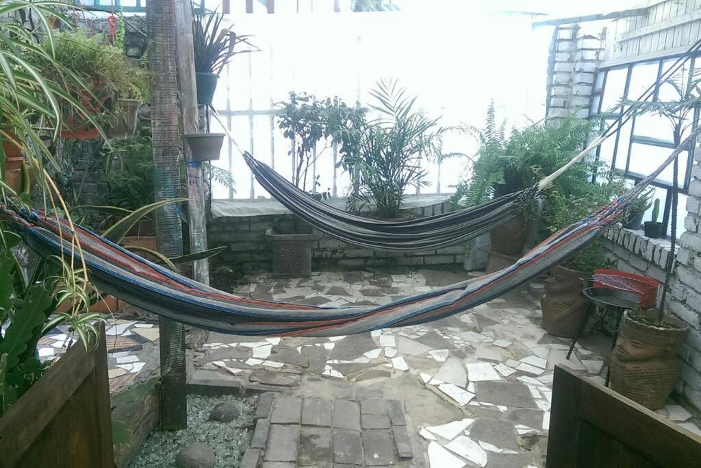 Casa Viva Apartaestudio Terraza
