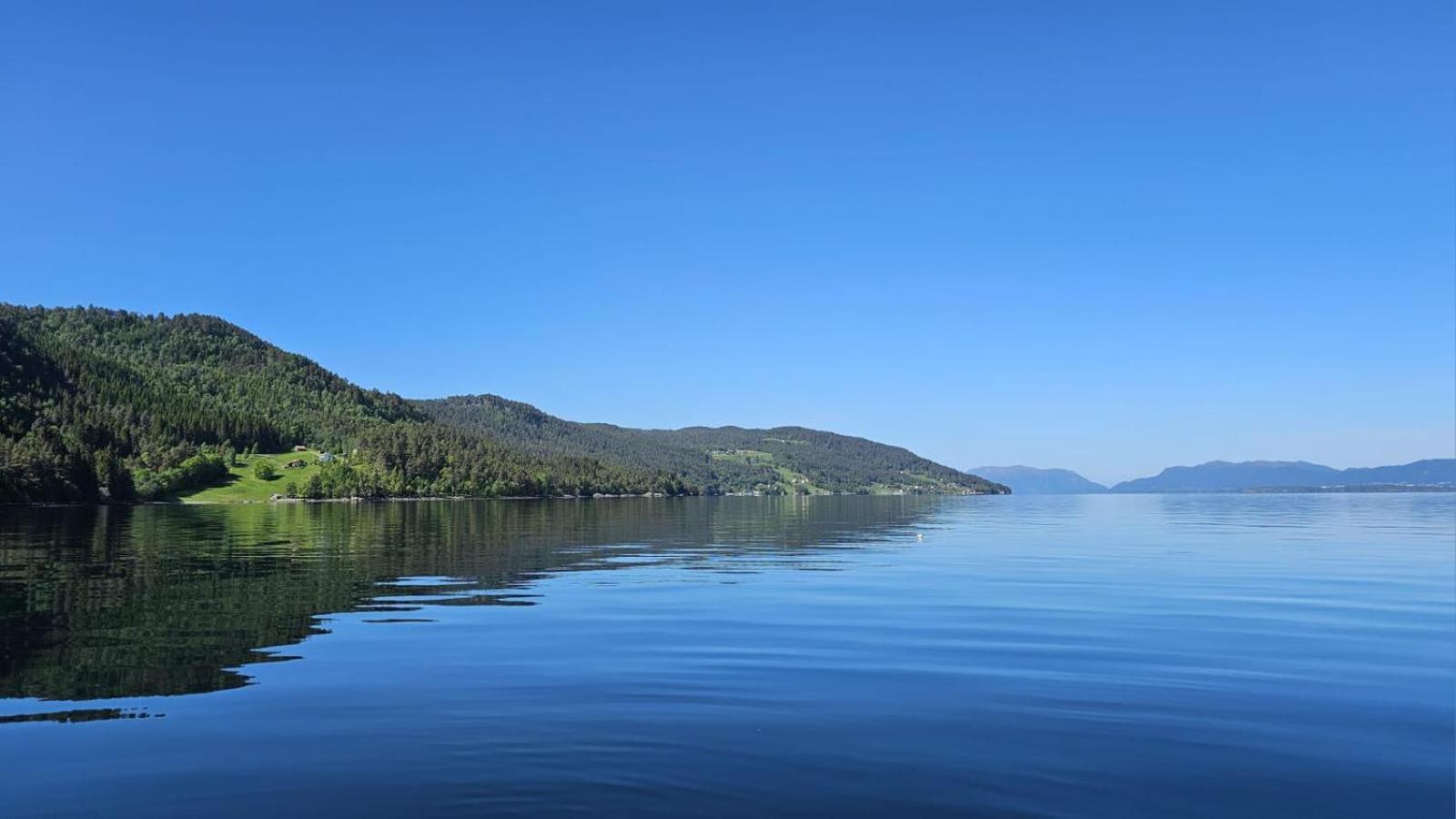Hjortehytte