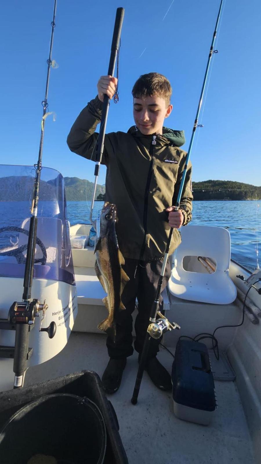 Hjortehytte