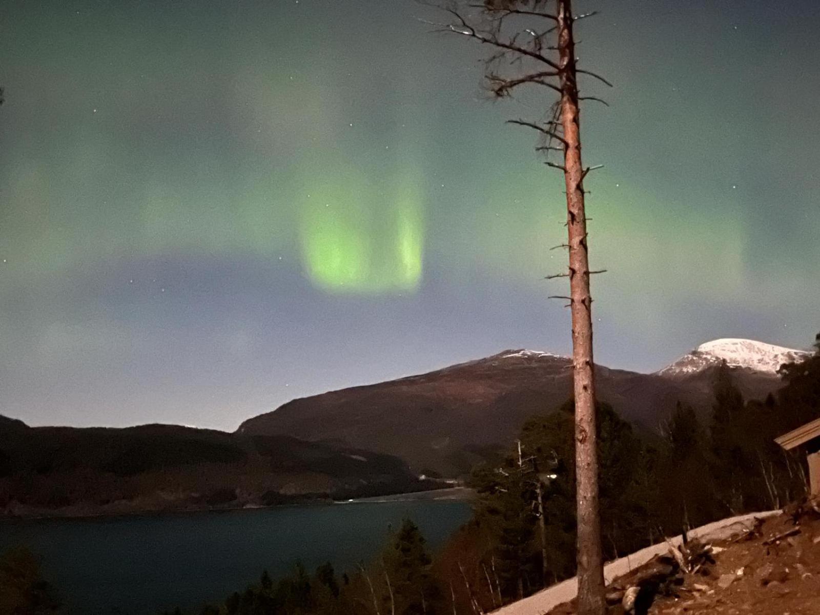 Hjortehytte