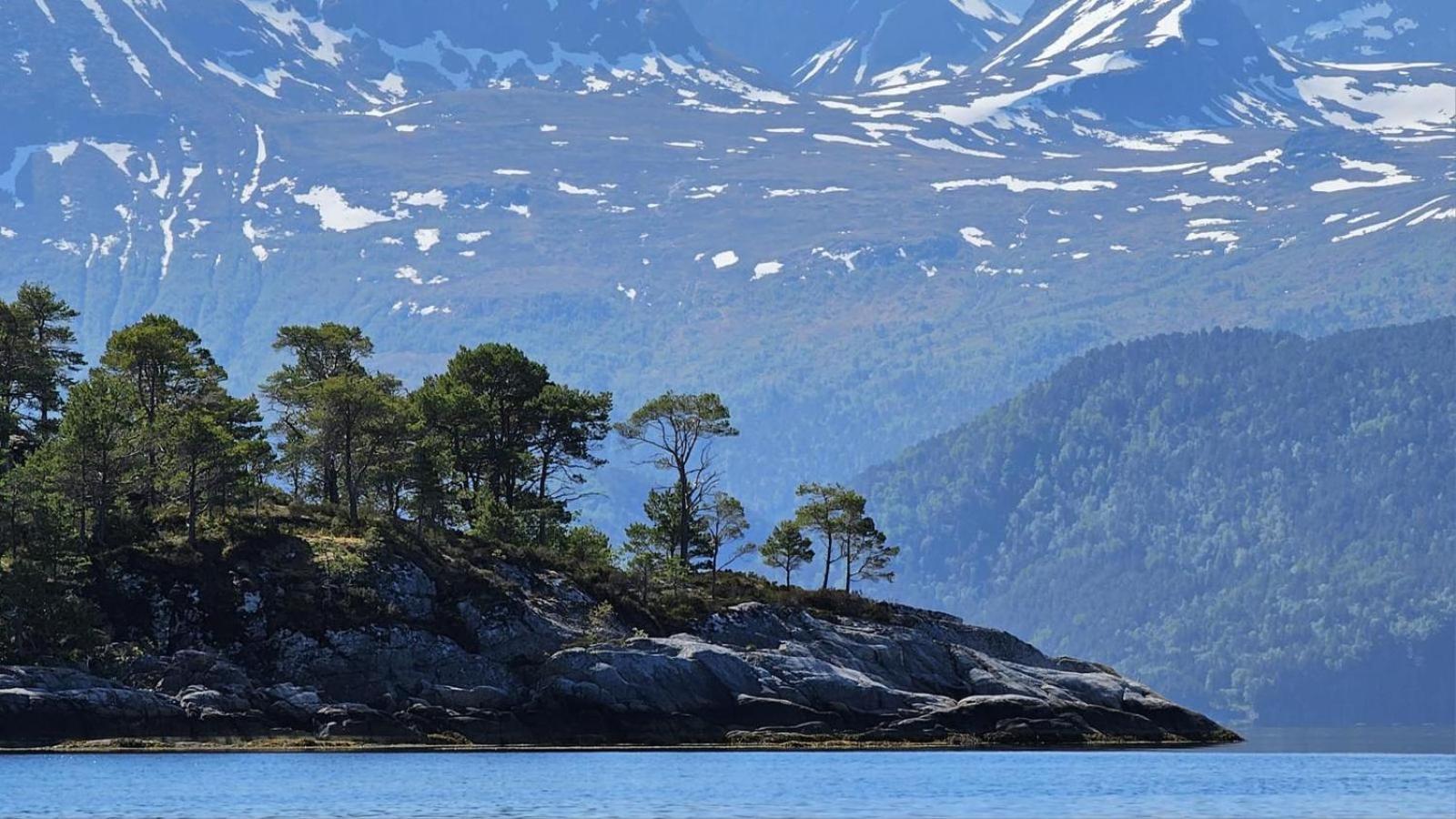 Hjortehytte