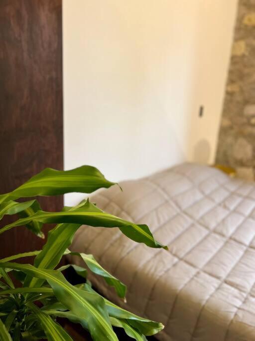Casa Santiago - Zona Exclusiva view 3
