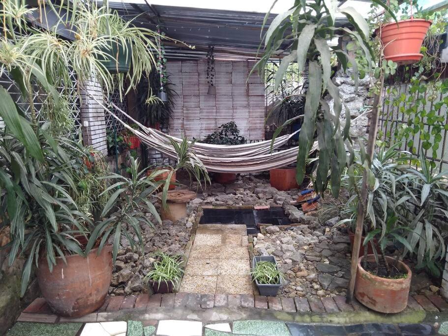 Casa Viva apartaestudio terraza II