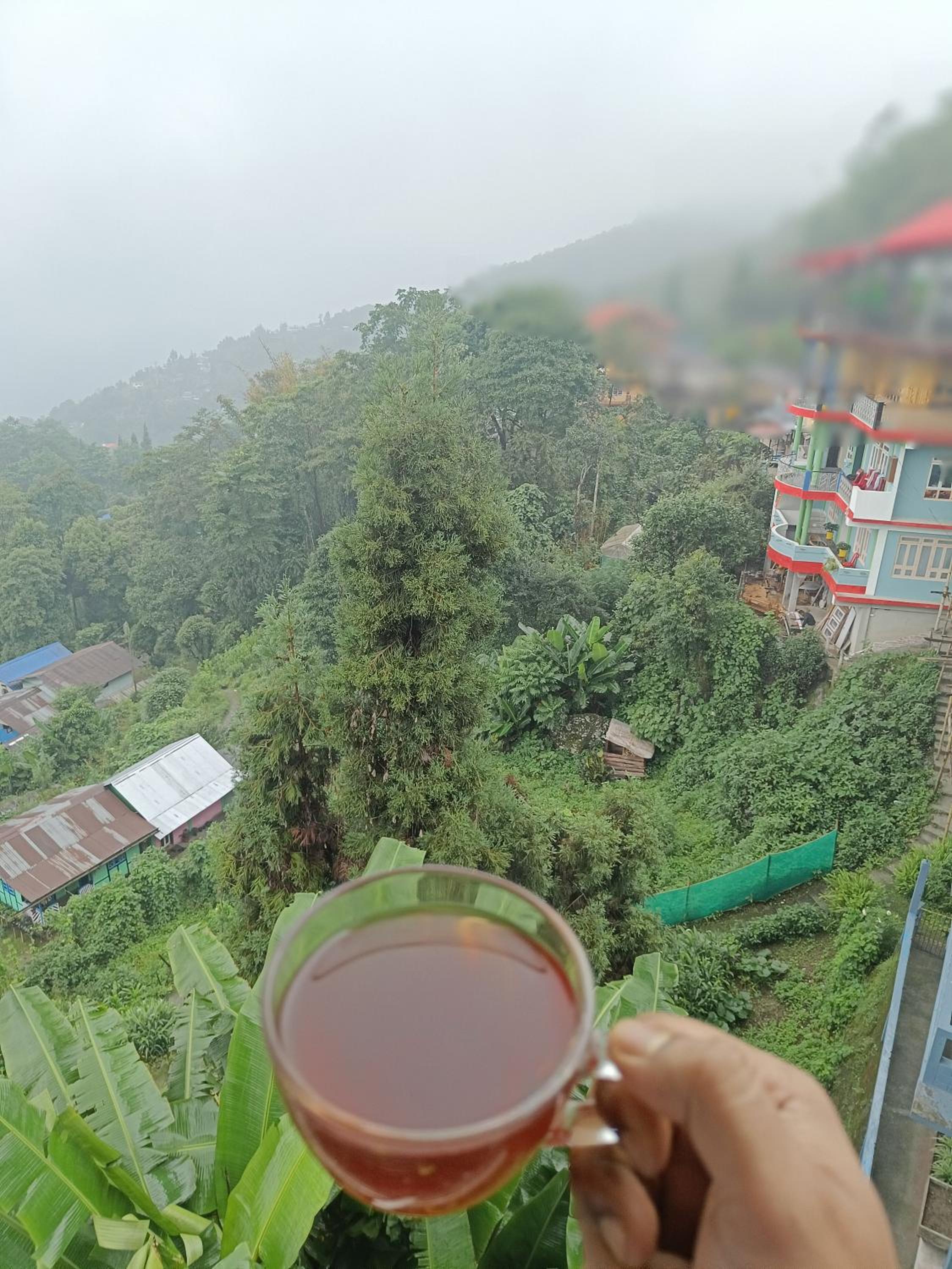 Sotang Homestay Ramdhura view 5