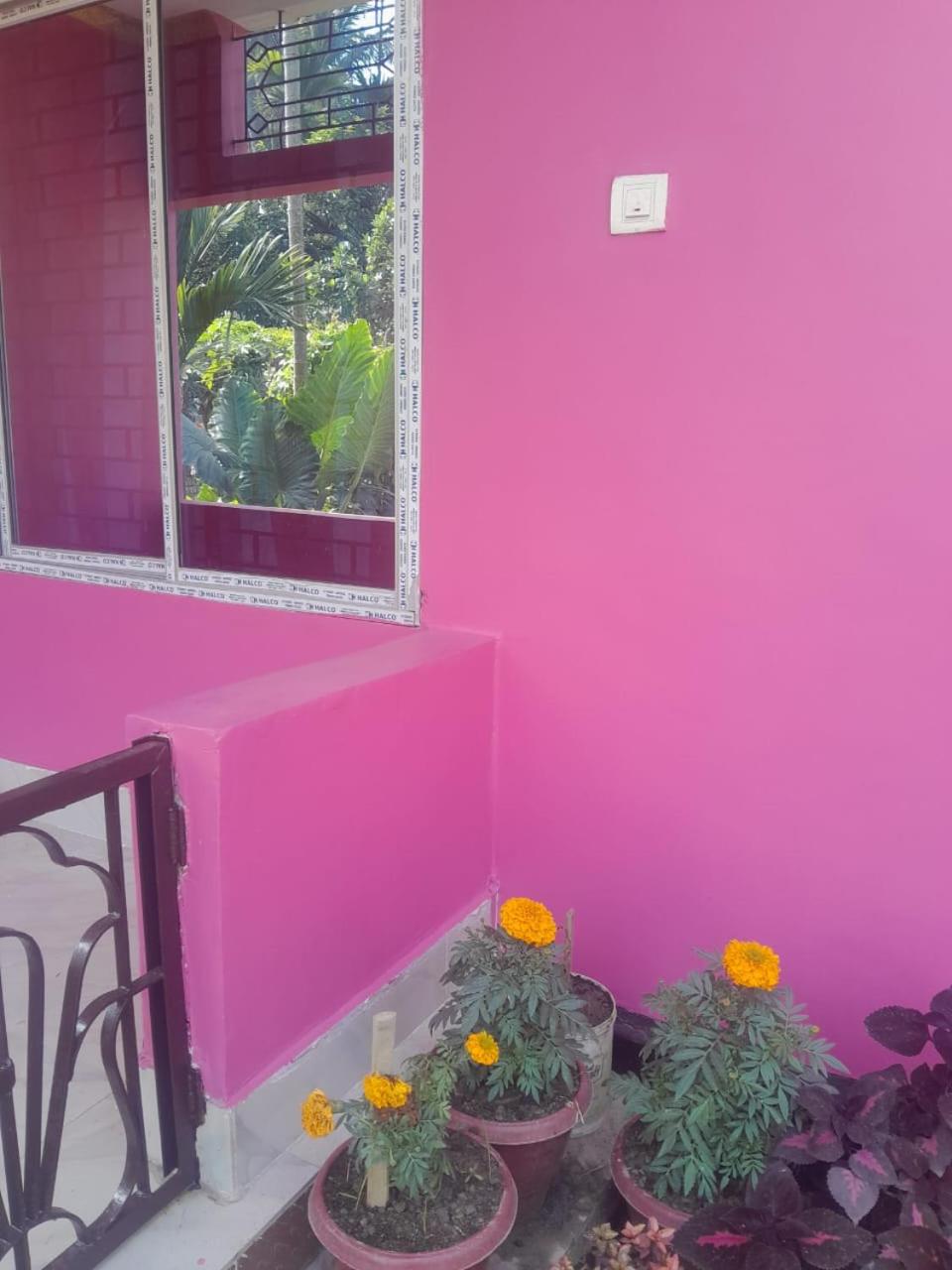 Asomi Bandana Homestay view 5