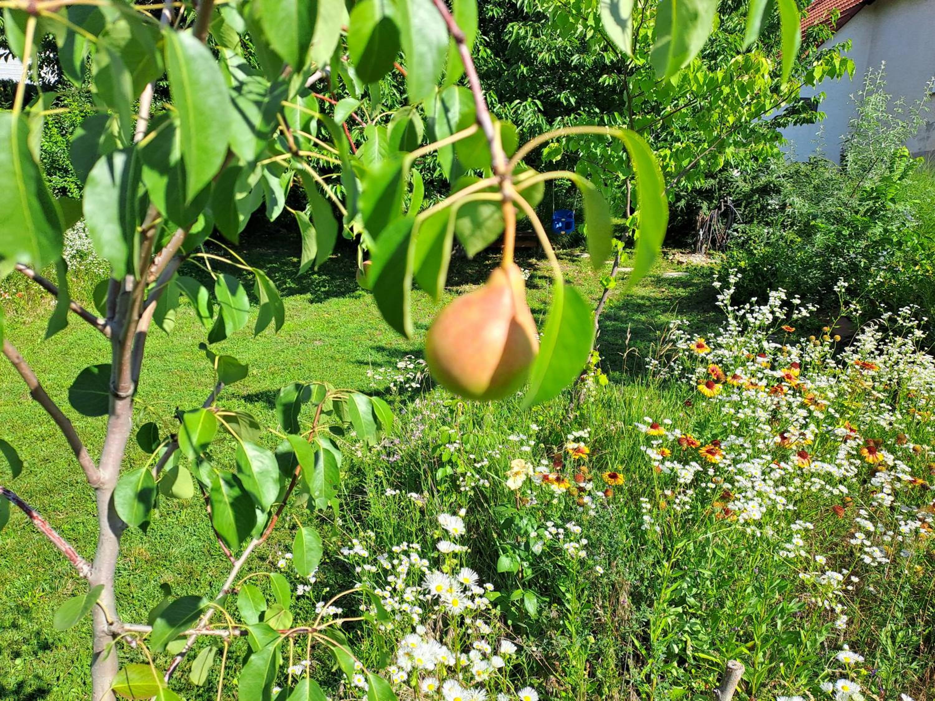 Photo 27