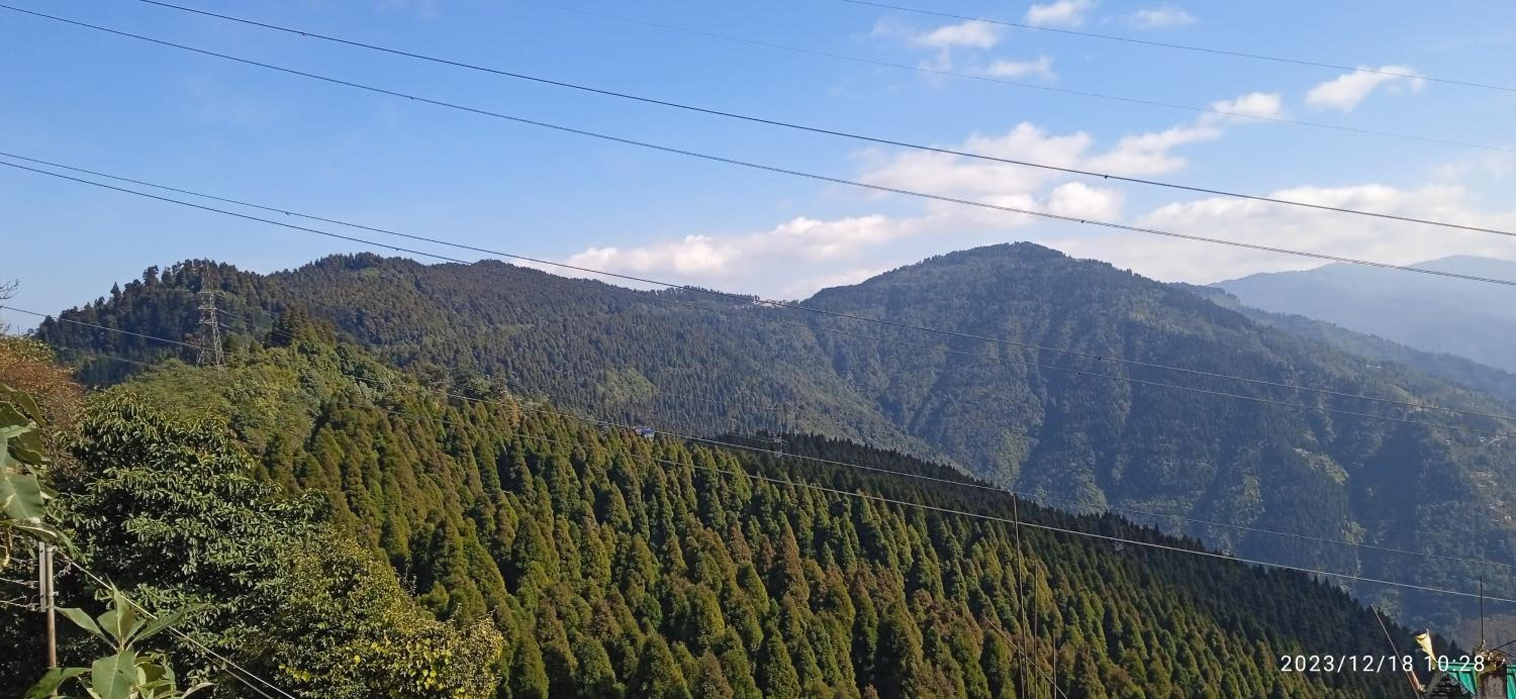 Lama homestay