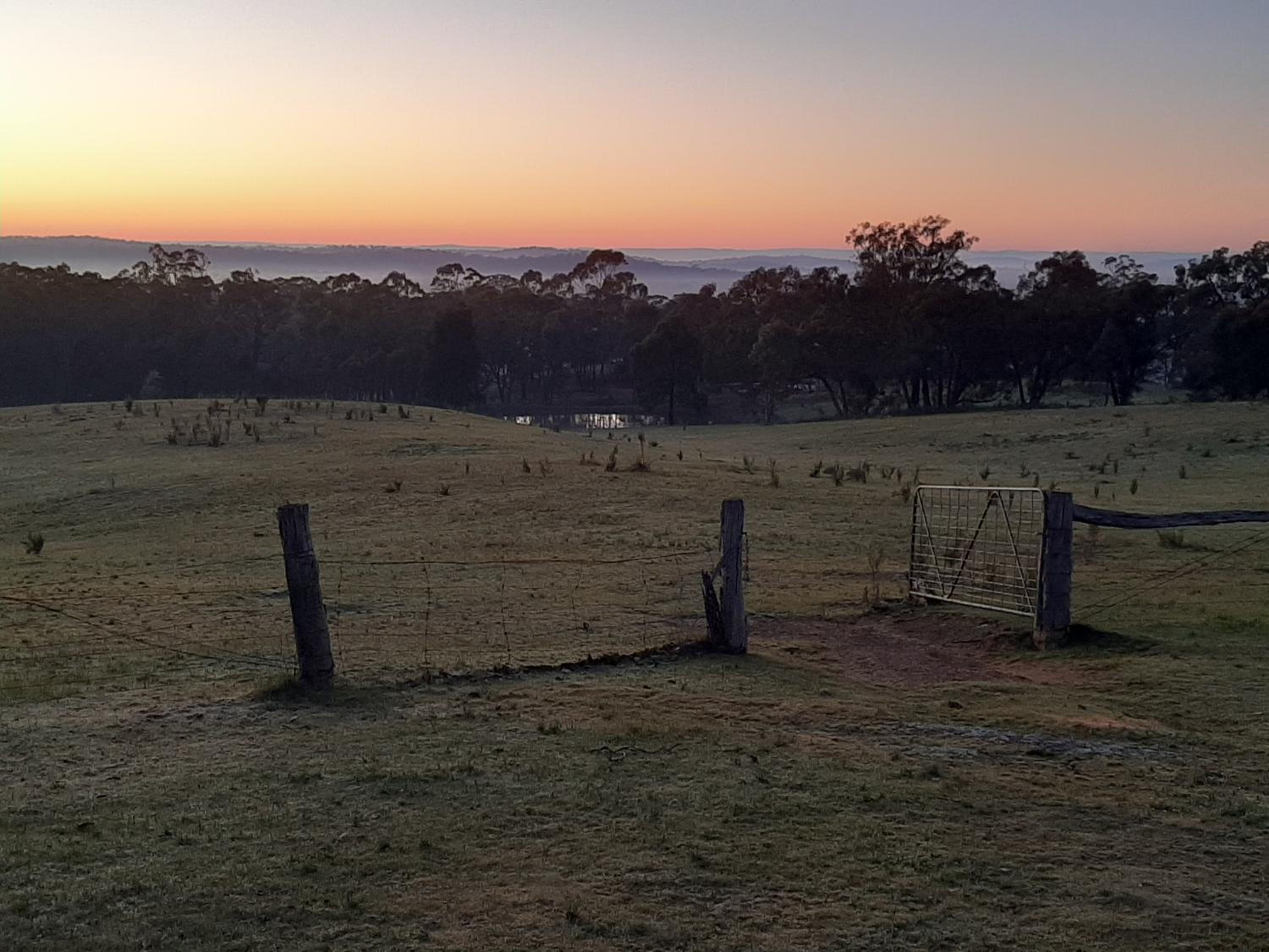the YellowBoxWood Heathcote - Echidna Ridge and Emu Valley Tents x 2