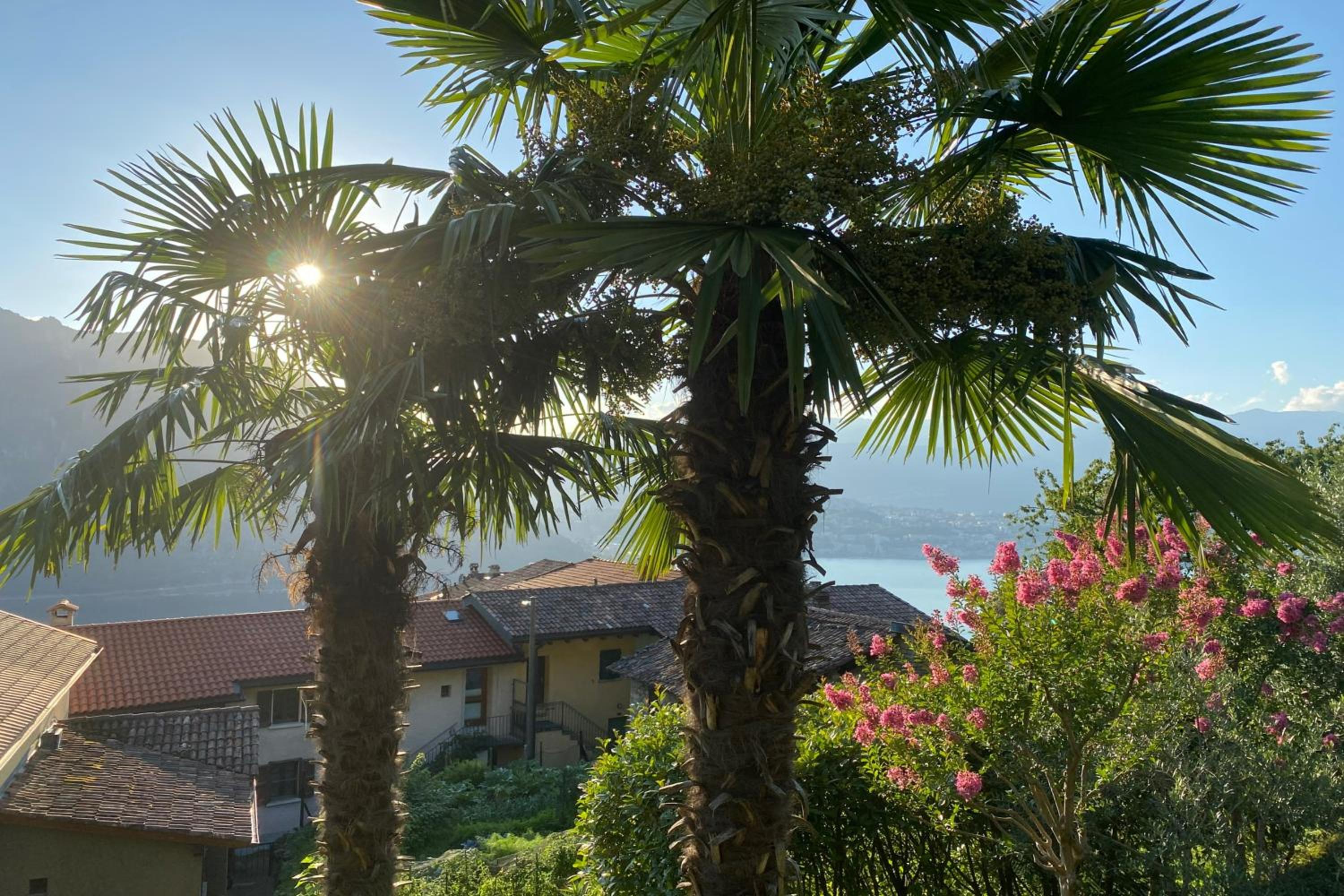 Romantic Apartments - Happy Rentals