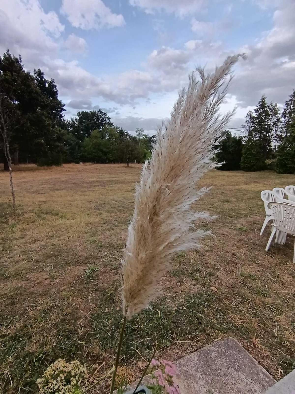Šuma za odmor