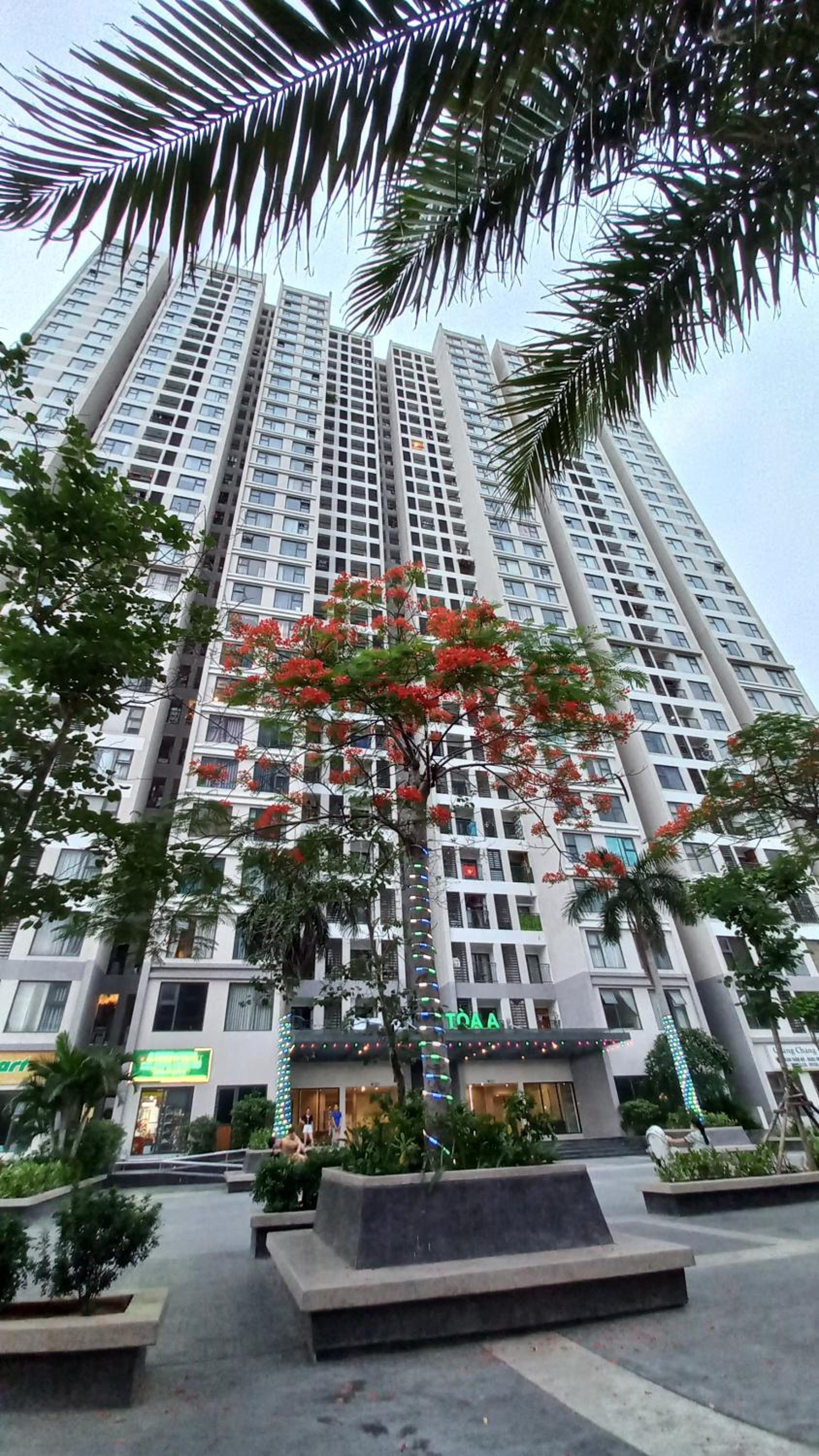 Green view apartment in Halong view 4