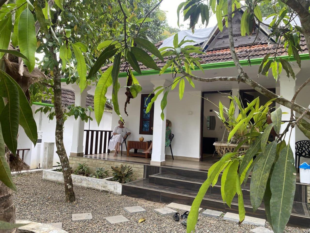 Maya forest lodge view 2