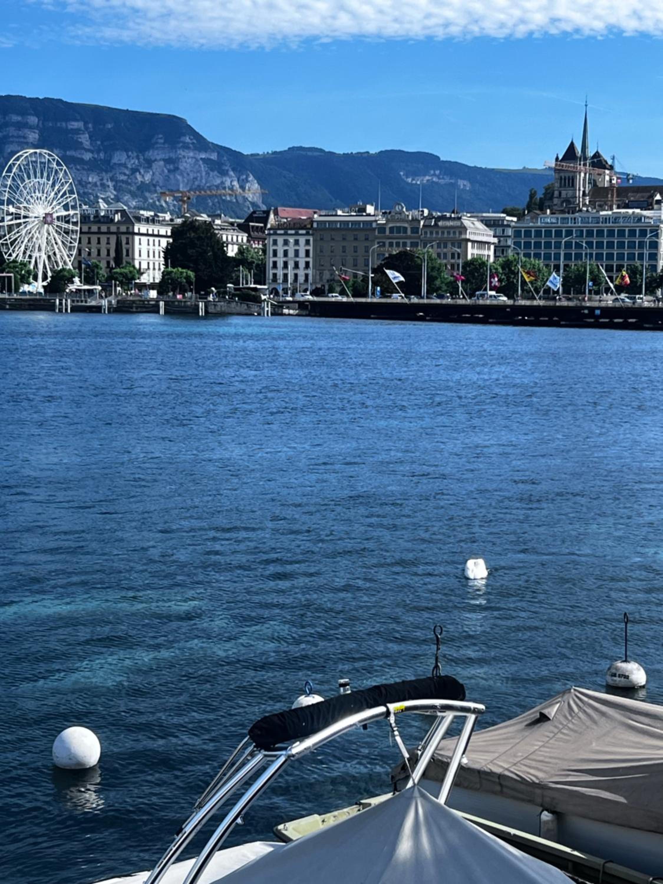 Appartement 1,5 pièces Centre Genève