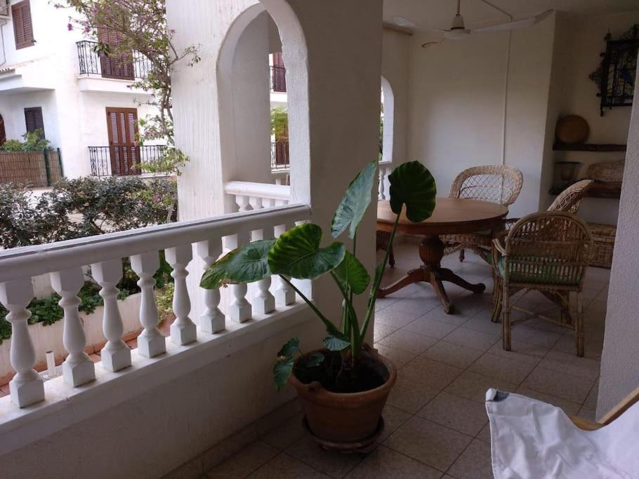 Amplio apartamento al lado del mar