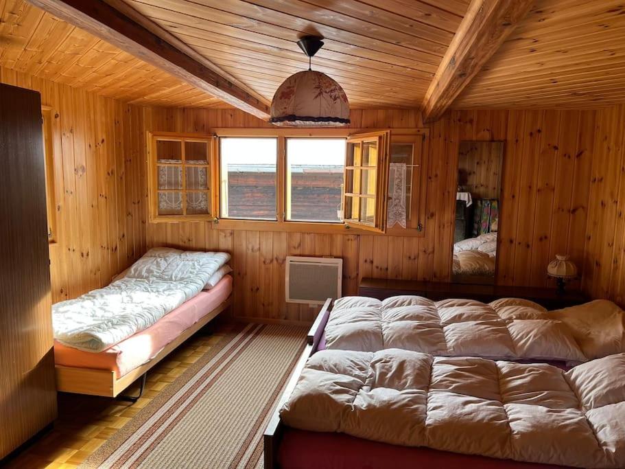 Chalet 3 pièces de caractère