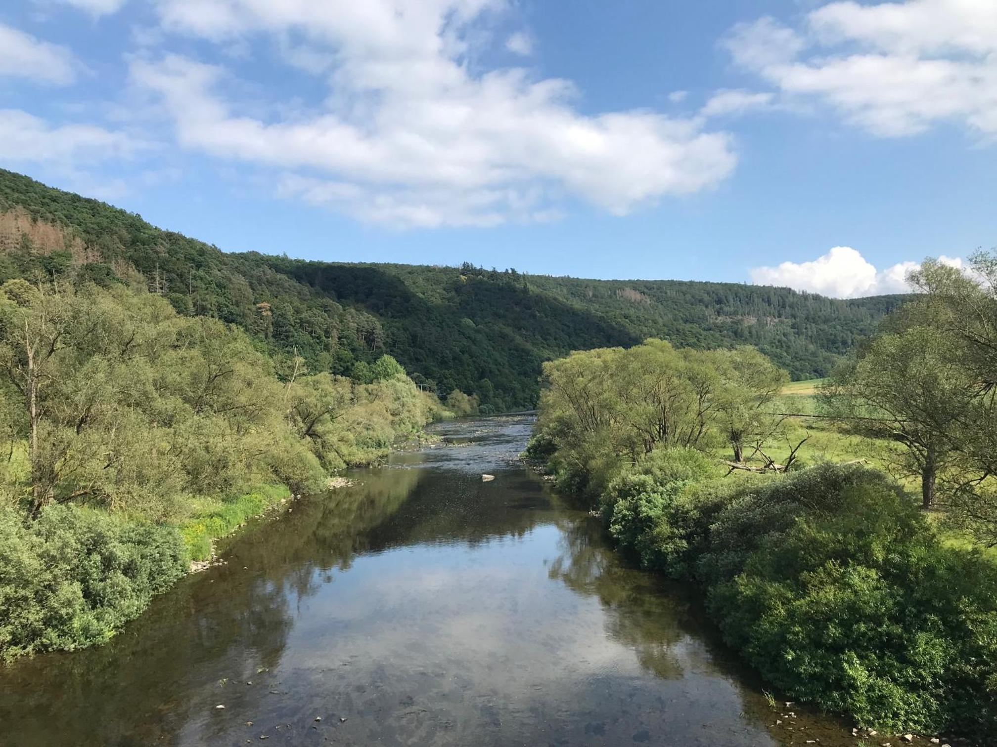 Kellerwald