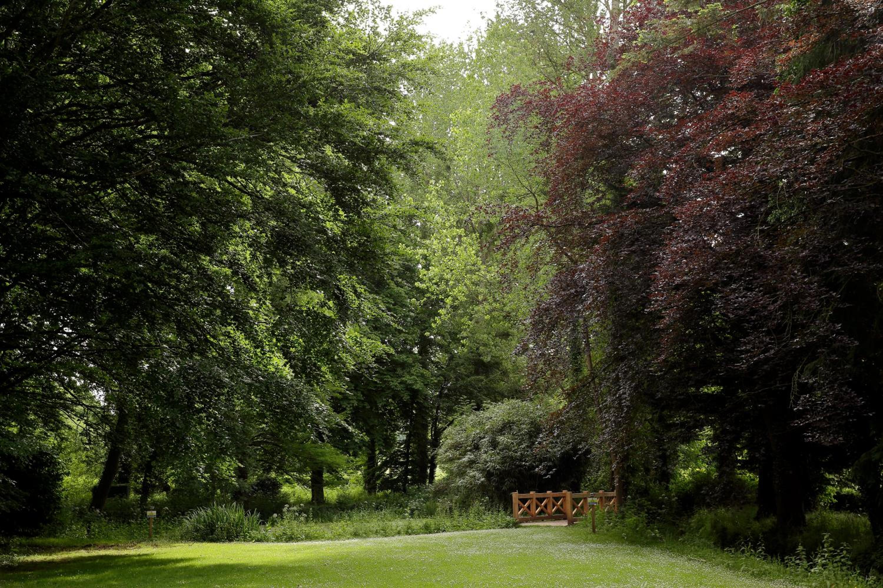 Chelsea Parkfields