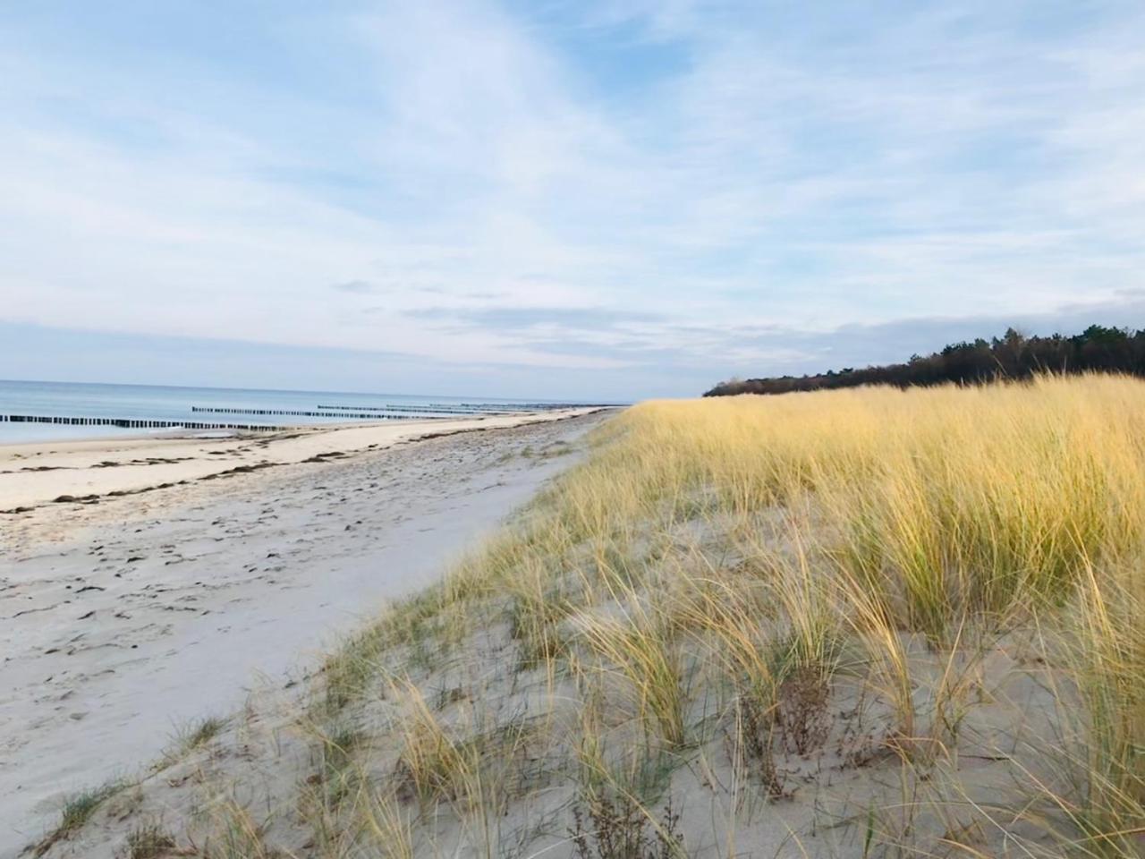 Ferienhaus Ostsee