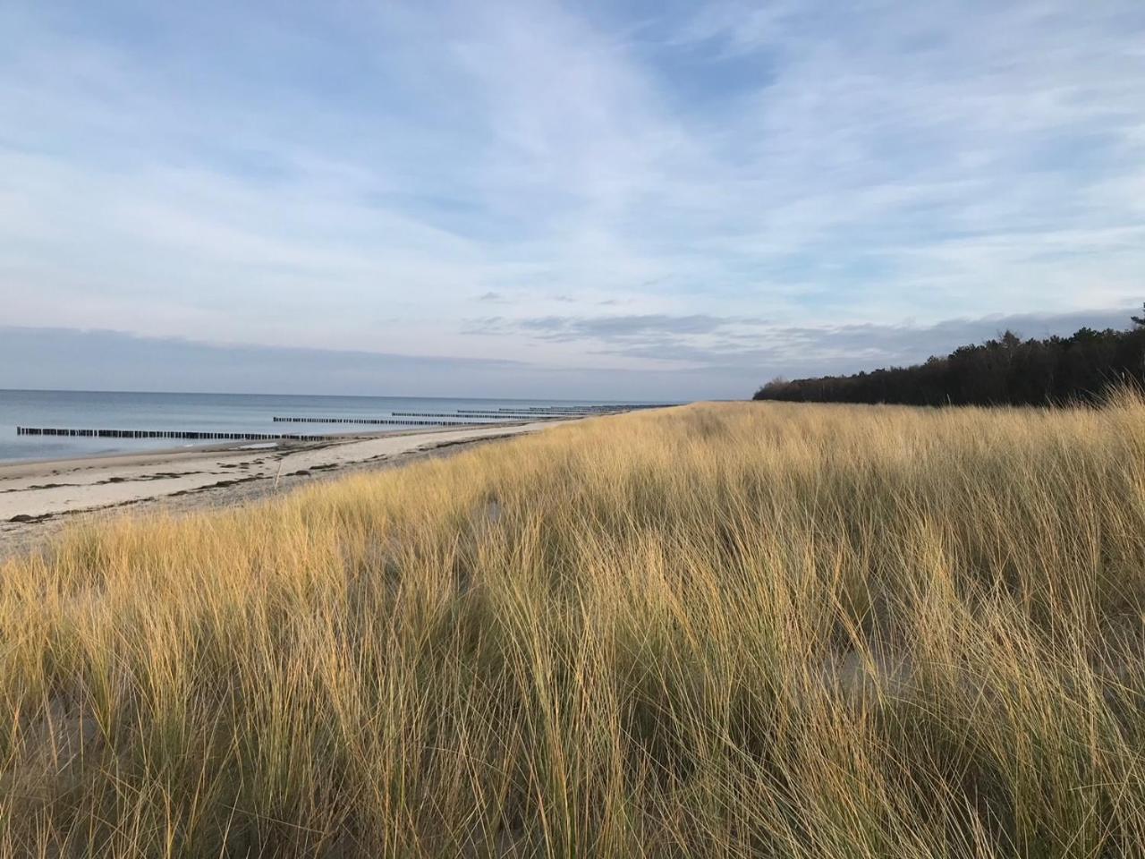 Ferienhaus Ostsee