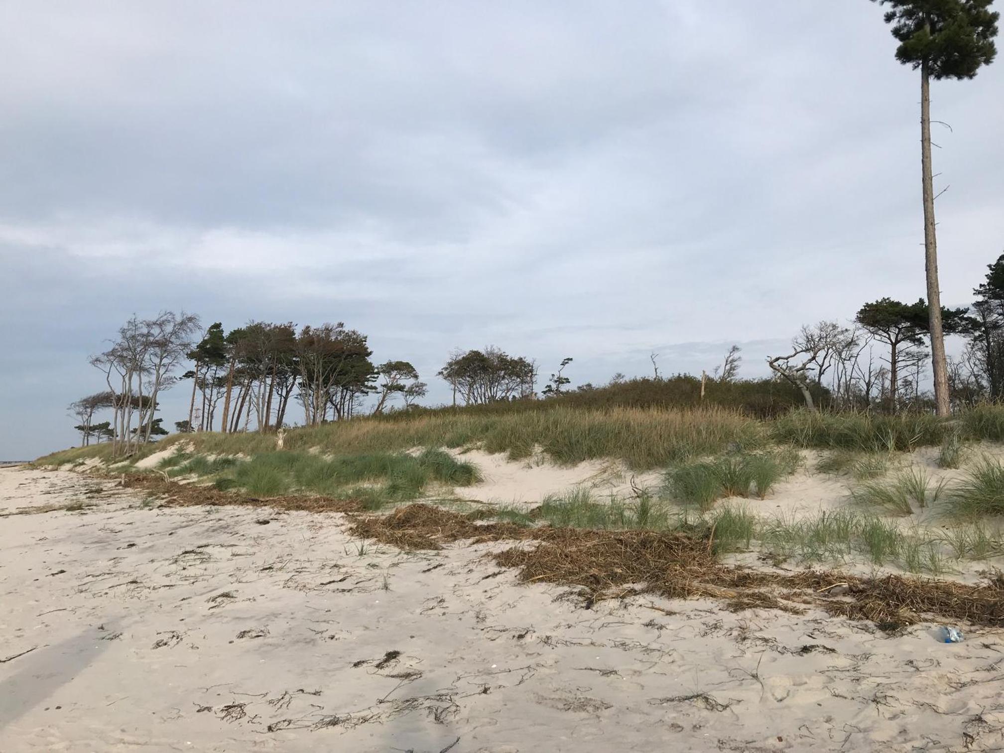 Ferienhaus Ostsee