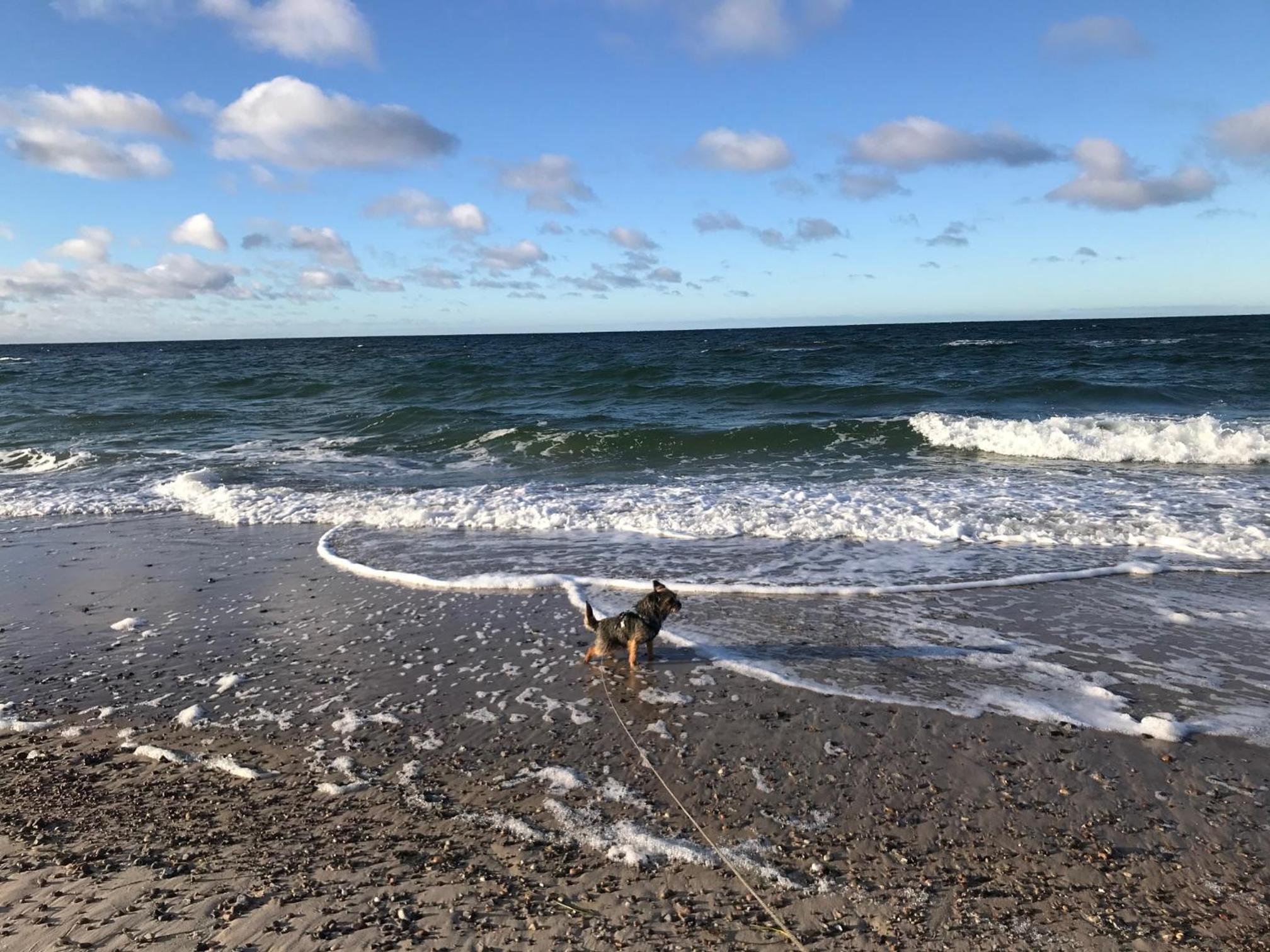 Ferienhaus Ostsee