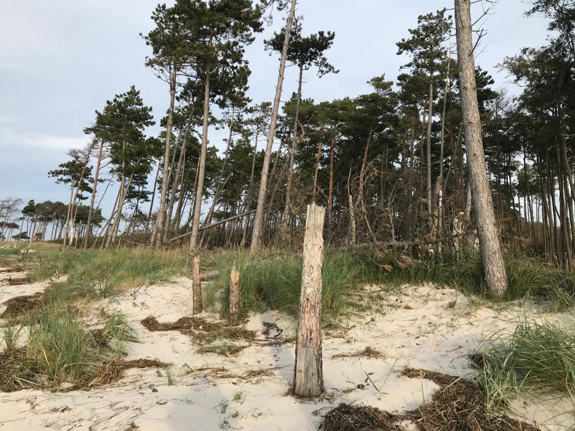 Ferienhaus Ostsee