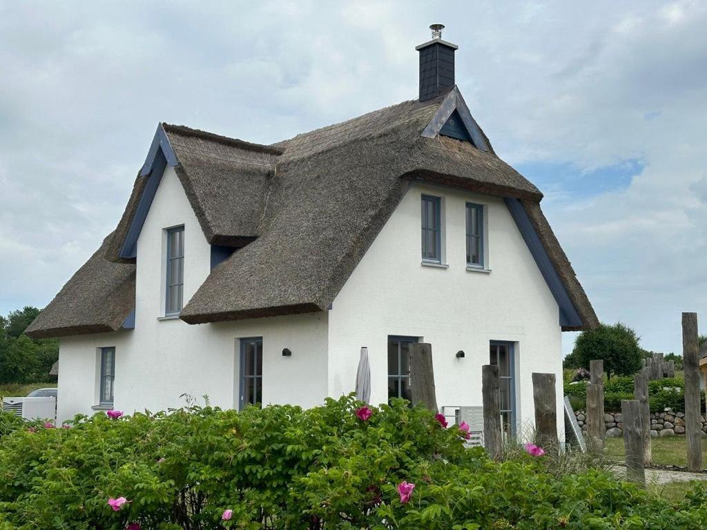 Modernes Ferienhaus Rügenblick 23 Kramerhof ID RB23