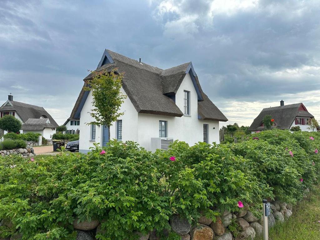 Modernes Ferienhaus Rügenblick 23 Kramerhof ID RB23
