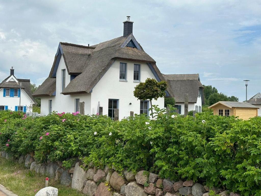 Modernes Ferienhaus Rügenblick 23 Kramerhof ID RB23