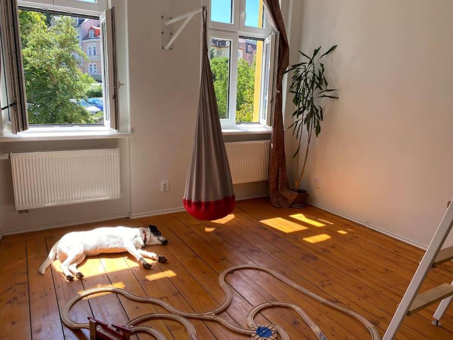 Spacious, children-friendly, beautiful apartment