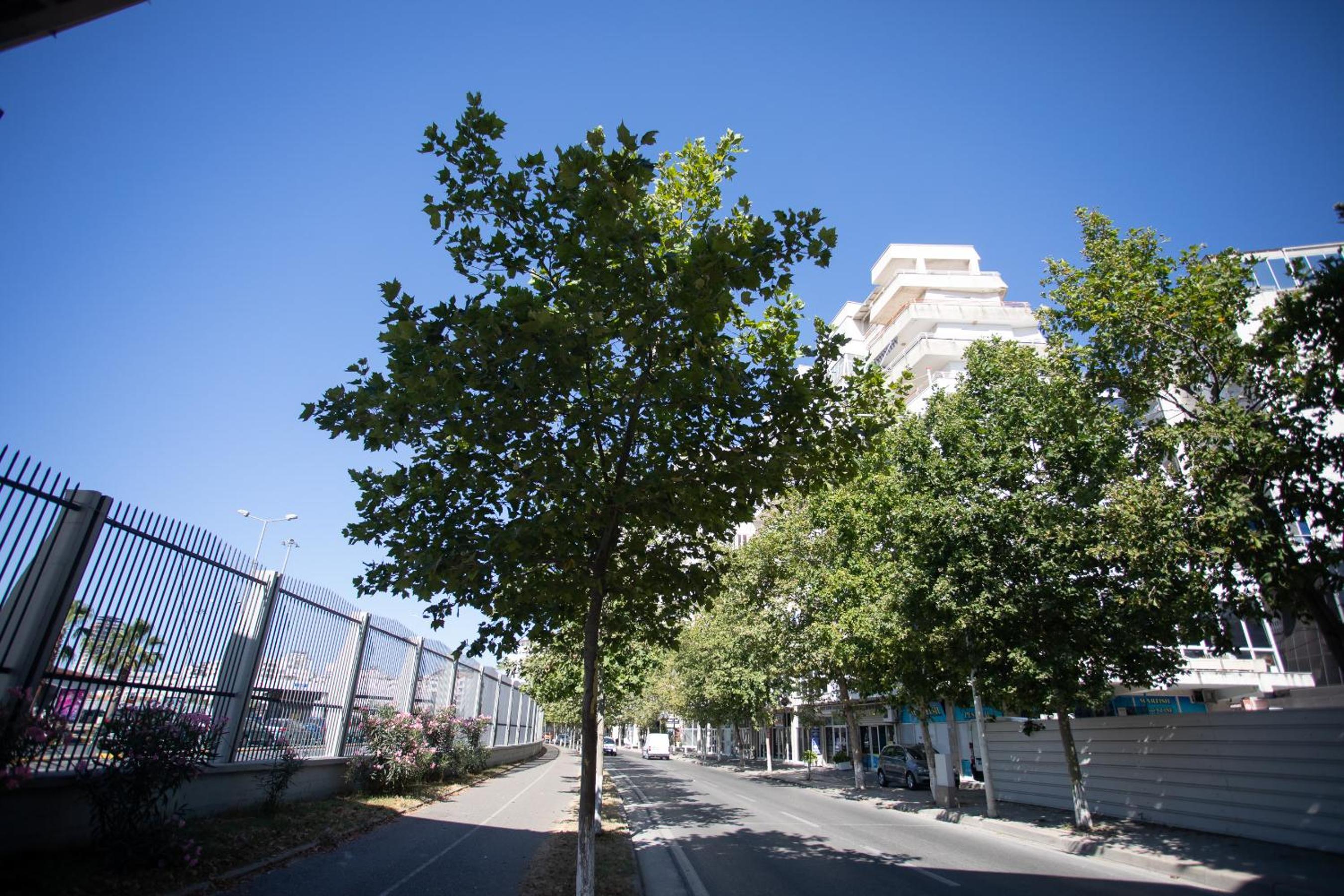 Durres Port View Apartment
