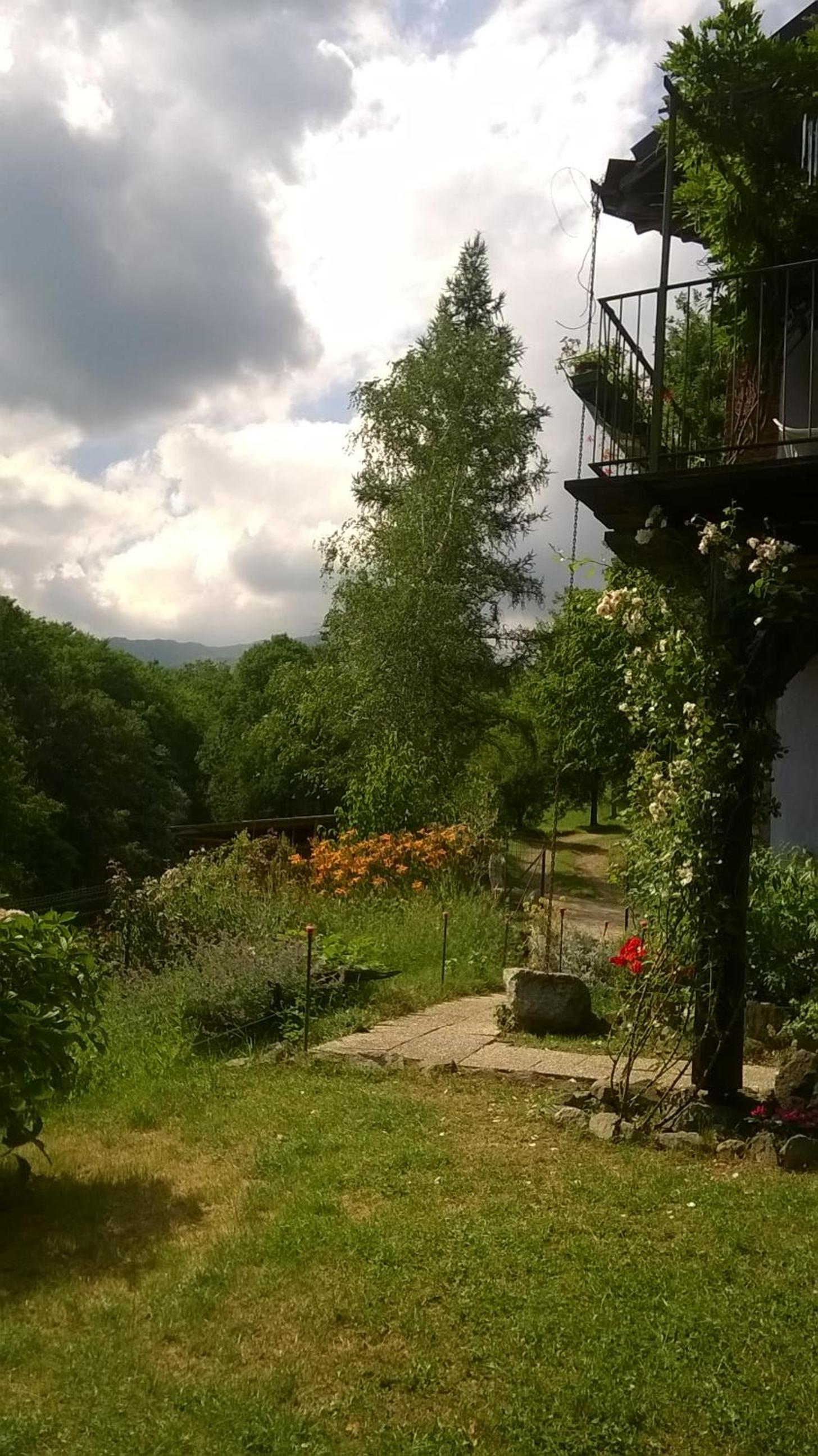 Il canto del bosco view 4